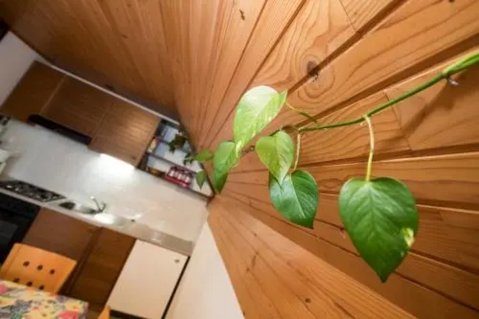 Turistična Kmetija Gartner 3a