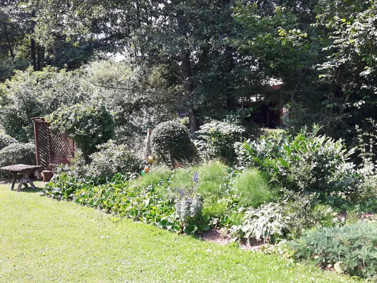 Sellerich Forest Hideaway