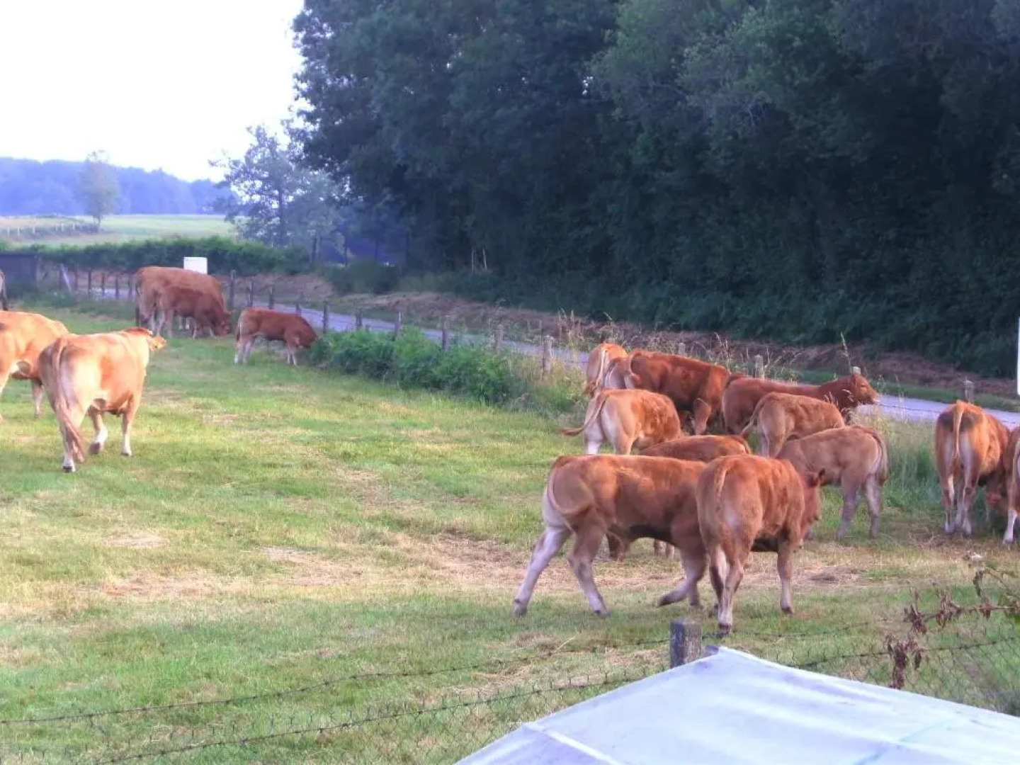 Chez Nathalie Et Jean Claude
