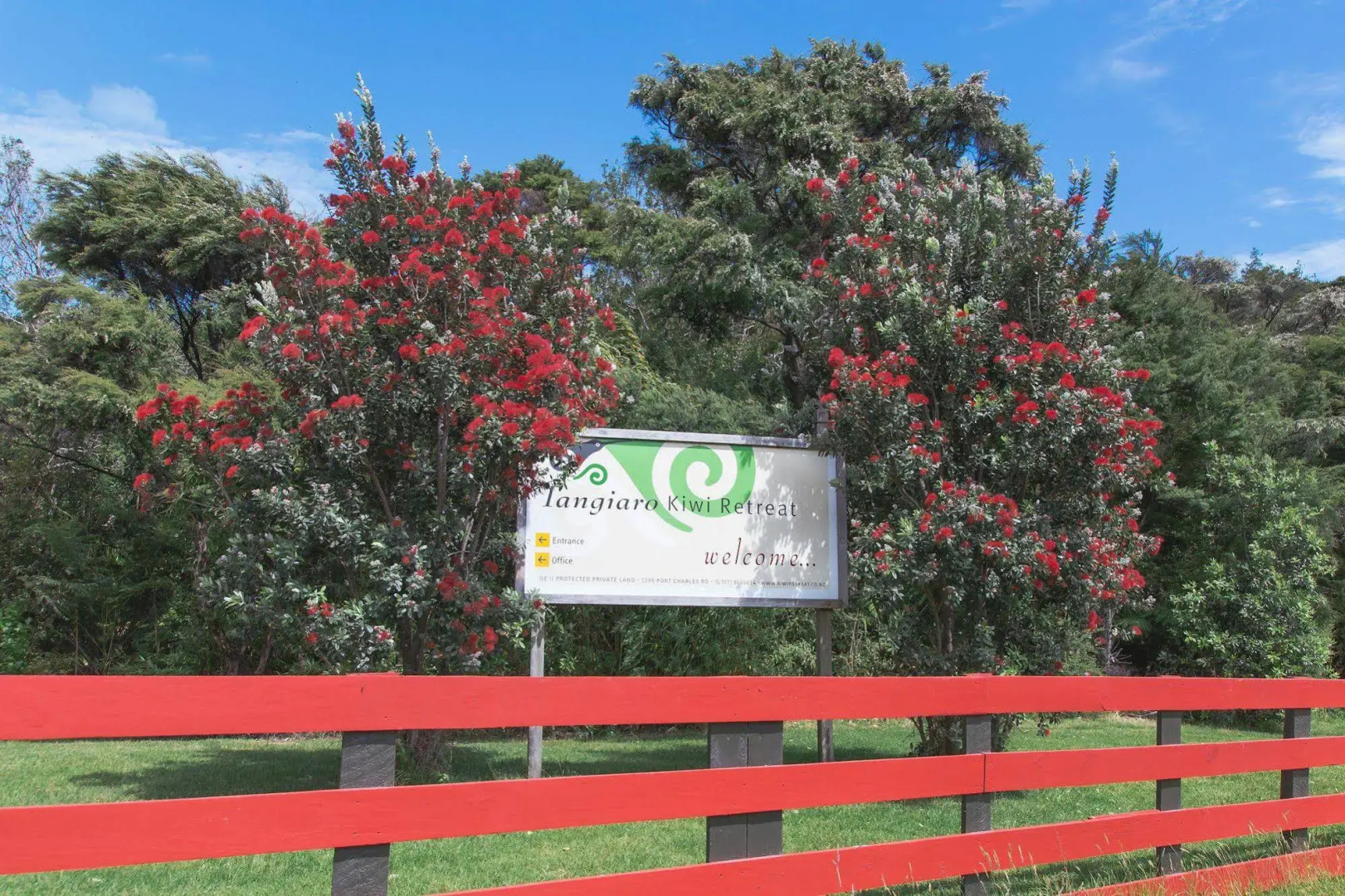 Tangiaro Kiwi Retreat