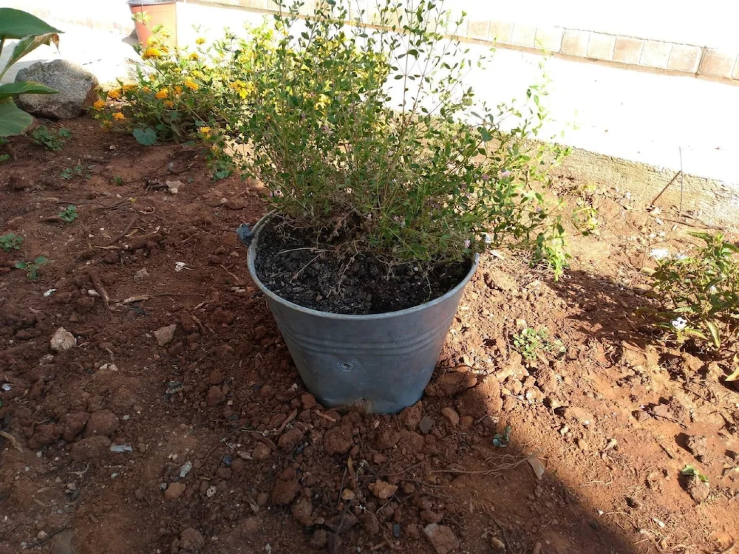 Xenios Torre Suda B&B