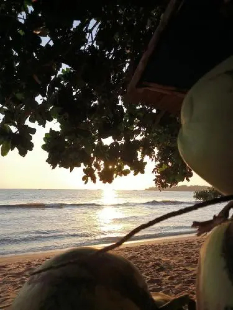 Kondominium Lippo Carita