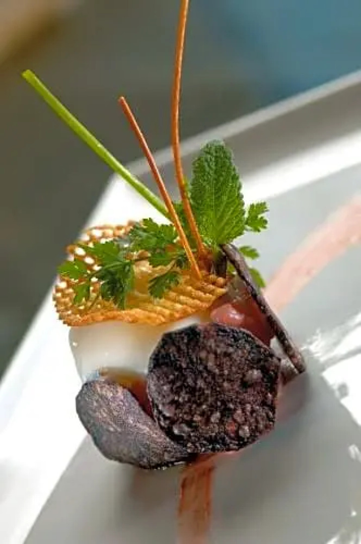 Hôtel du Vieux Moulin