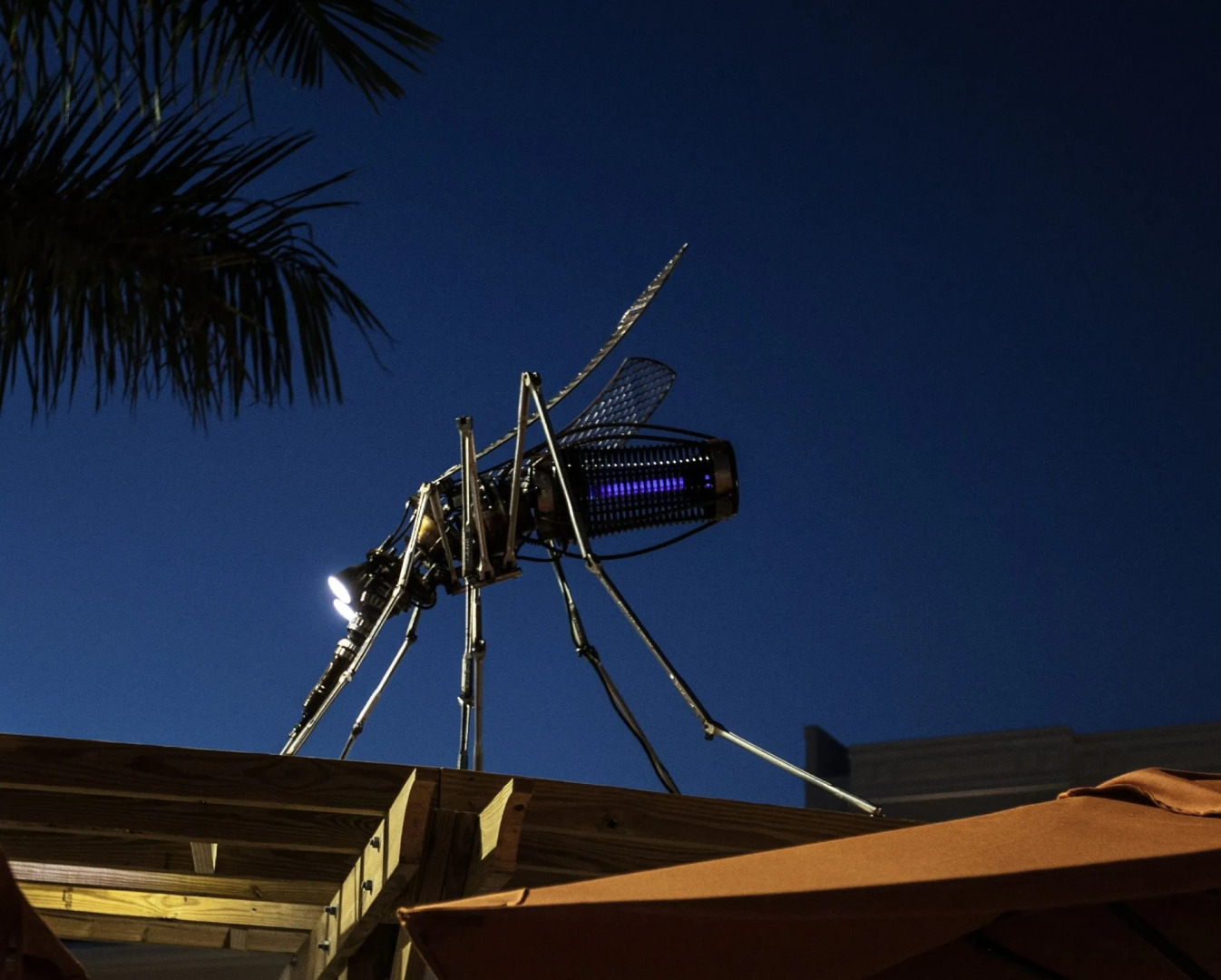 TownePlace Suites By Marriott Boynton Beach