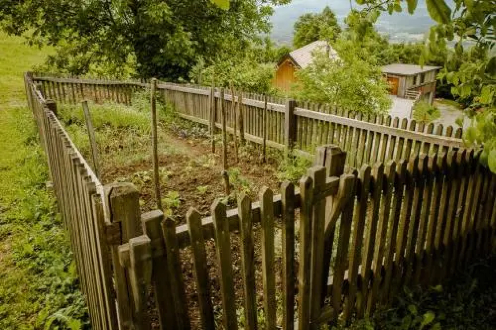Vineyard cottage Škatlar 2