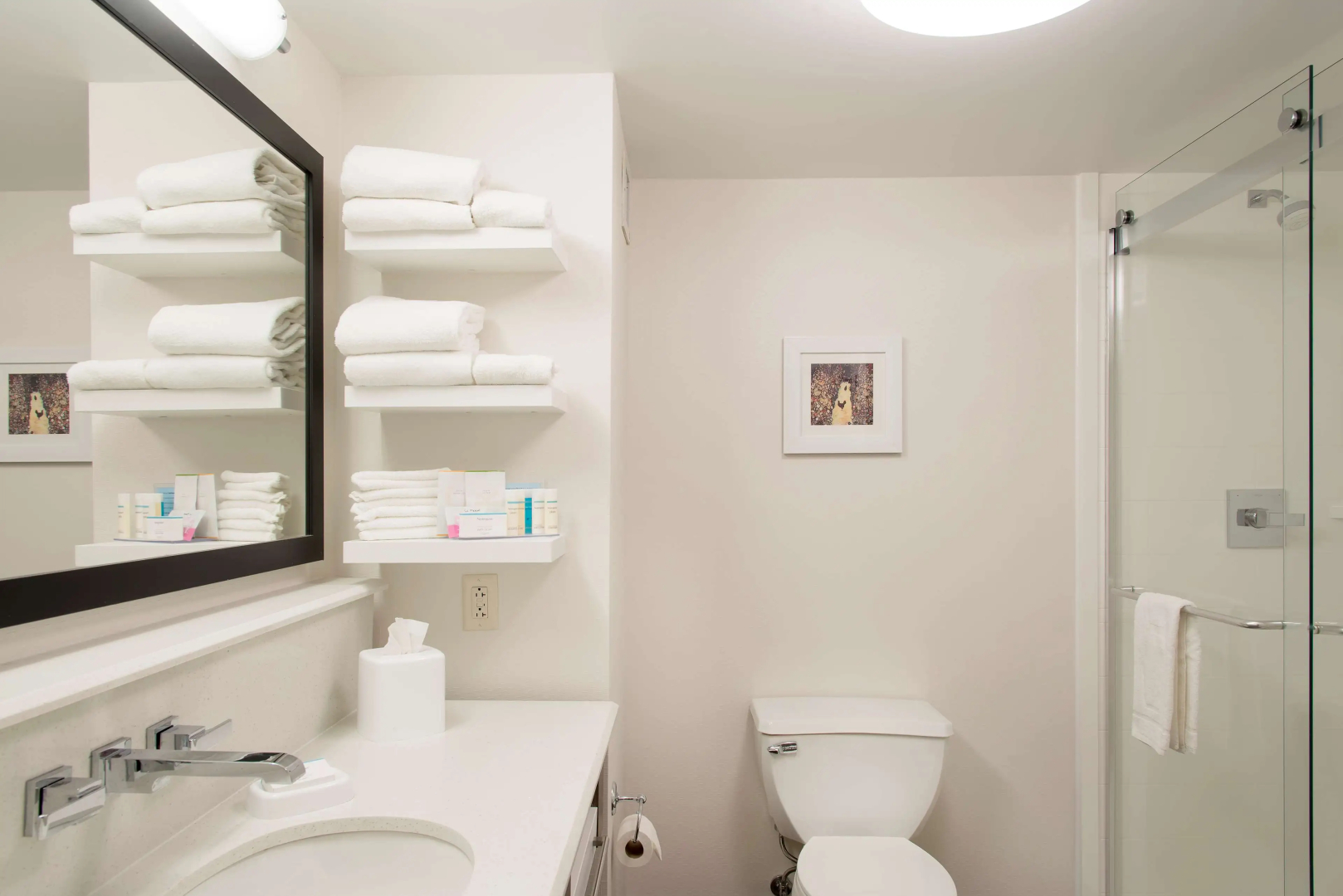 Hampton Inn Columbus/Taylorsville/Edinburgh