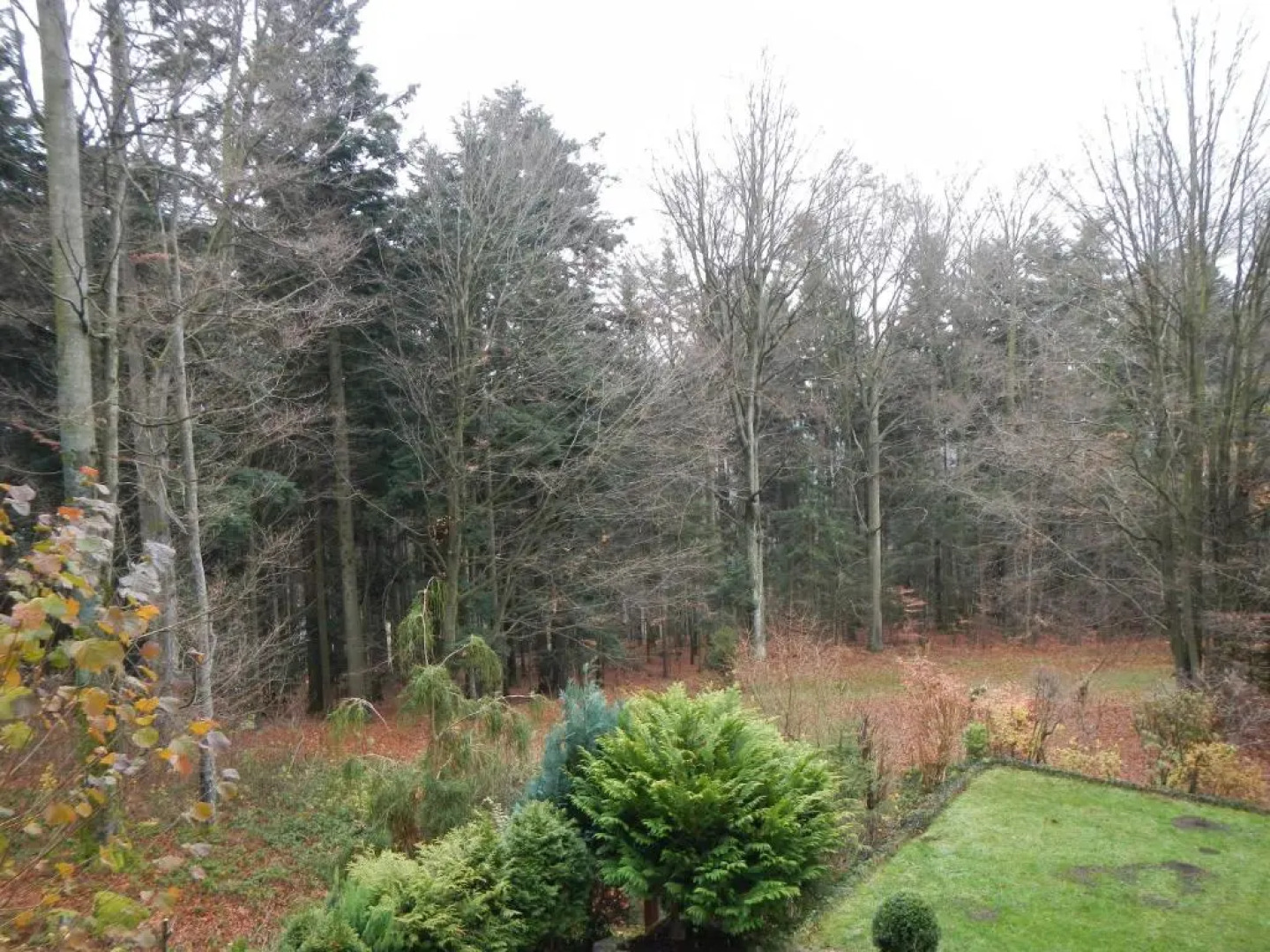 Ferienwohnung Waldoase am Fuchsenstein