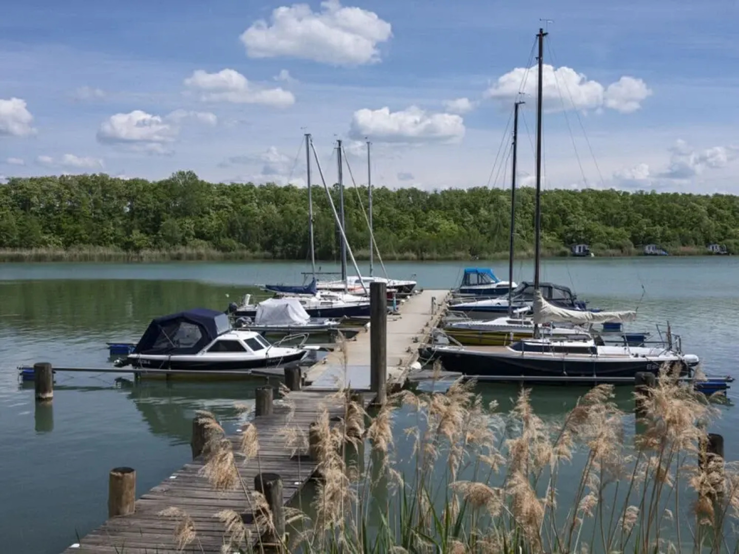 House in Reed 1 - Apartment 2