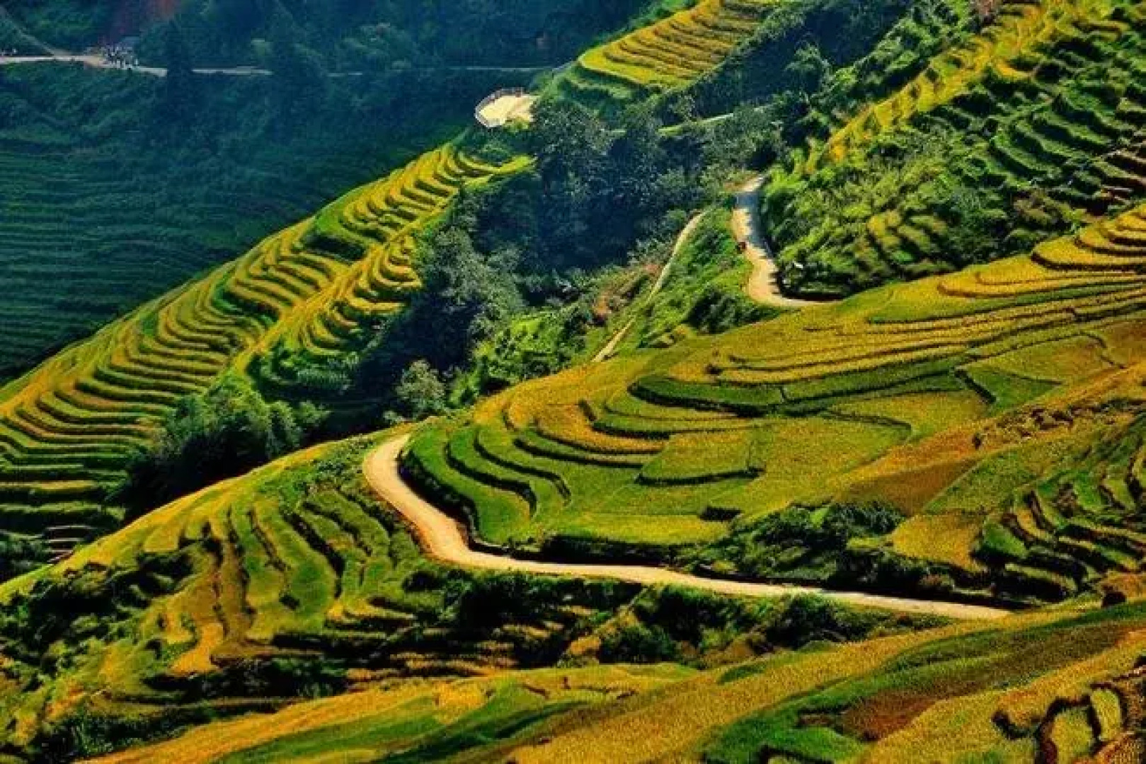 Yuanxiang Yayuan Inn