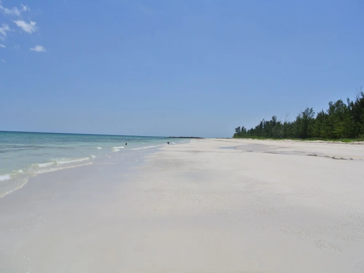 Tyne Beach Terrace Apartments