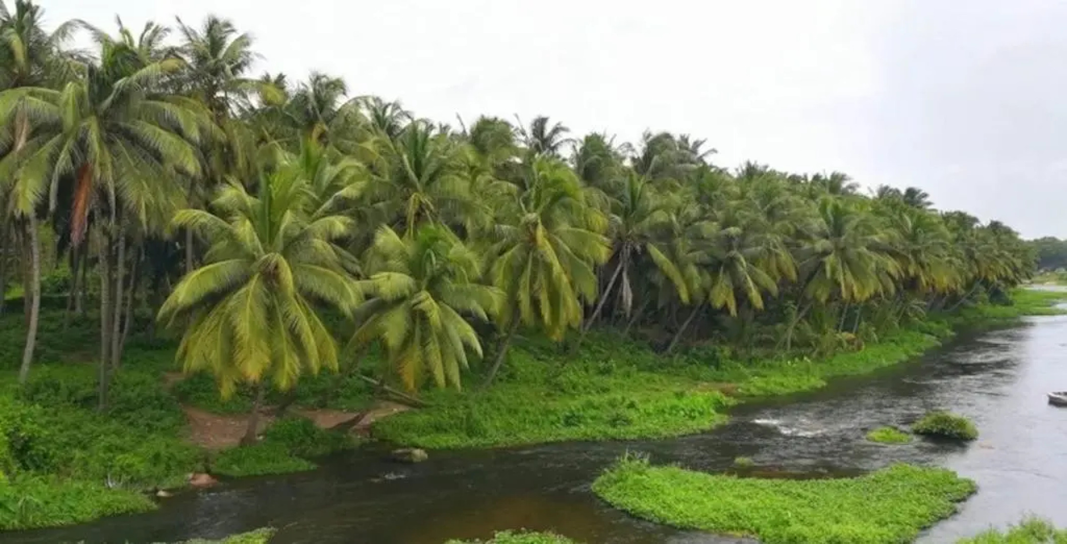 Room in Lodge - Royal Cottage, Anaimalai Room