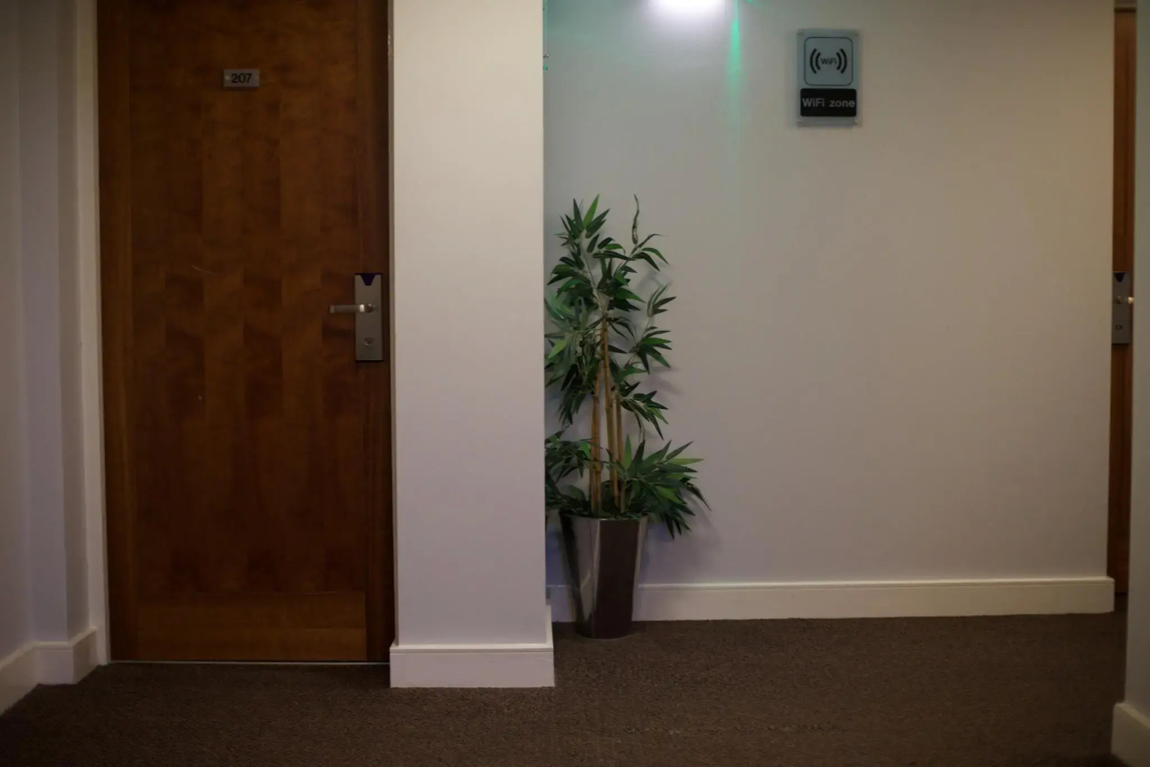 Cocoon at The International Inn