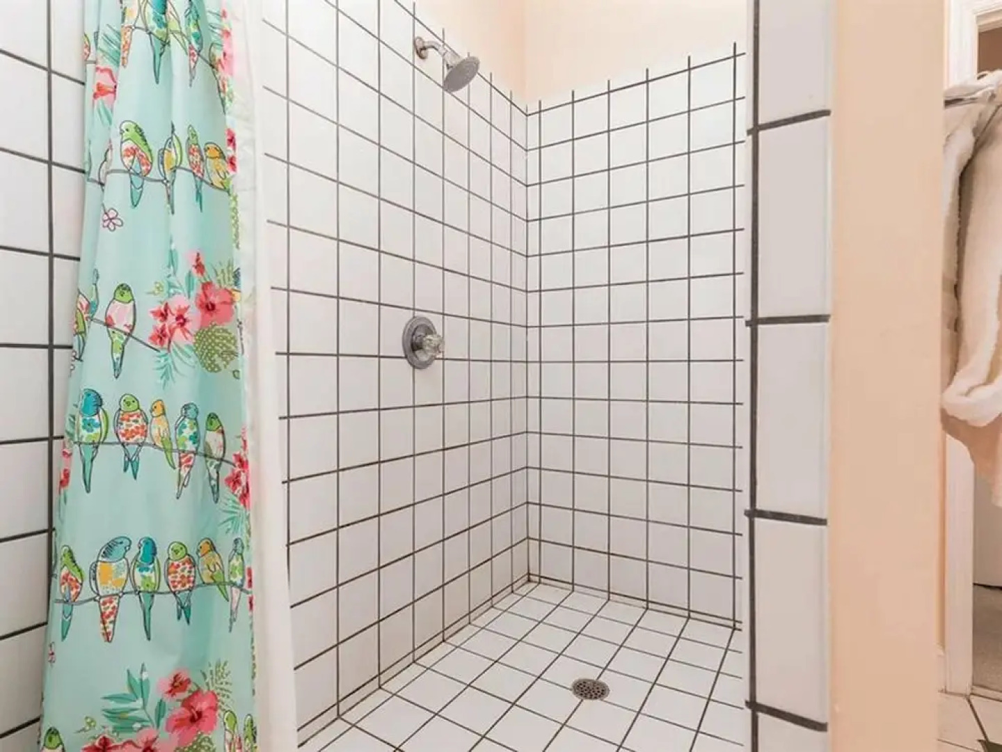 Dolphin View by Meyer Vacation Rentals