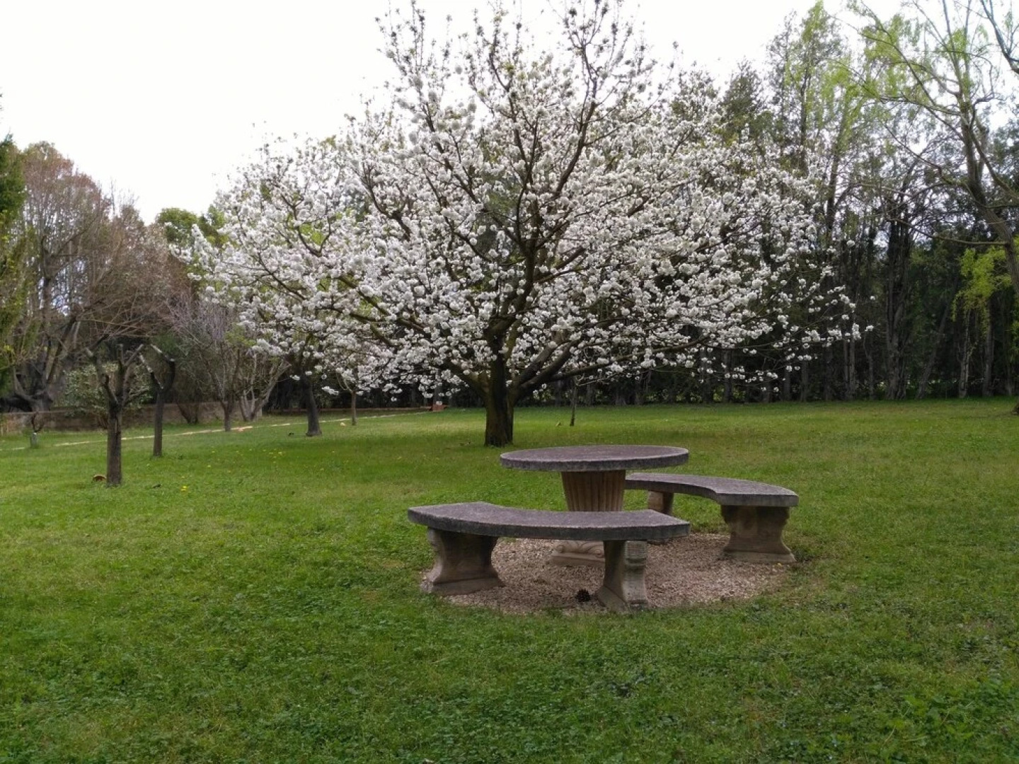 Le rêve d'Emma Chambres d'hôtes