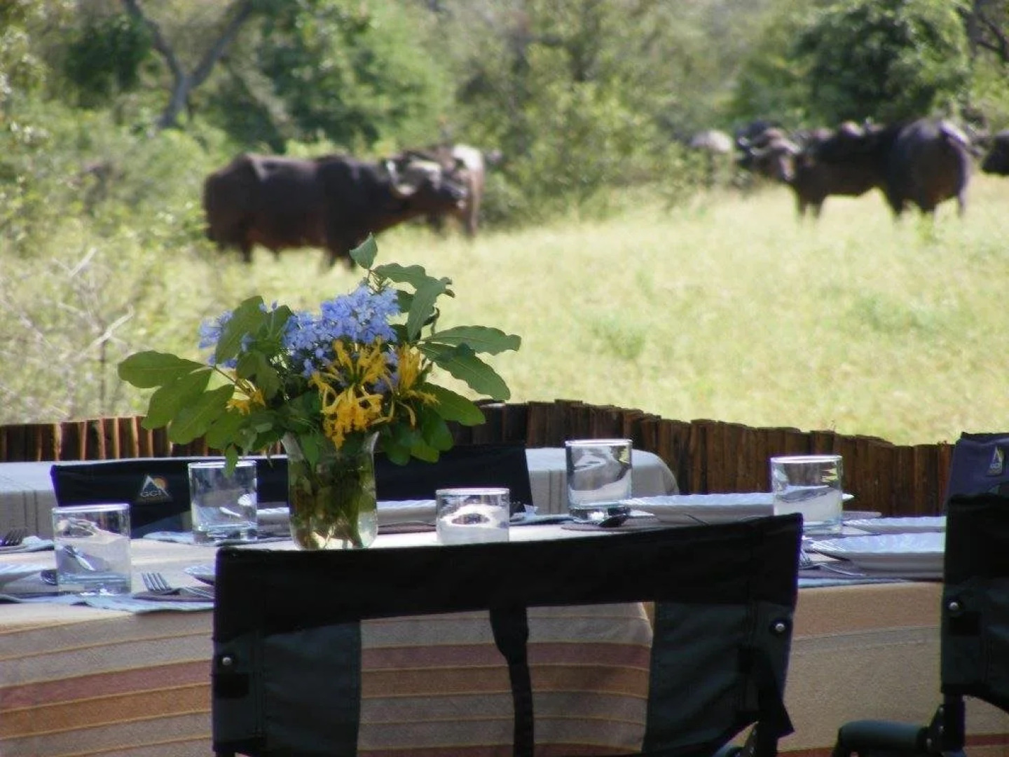 nDzuti Safari Camp