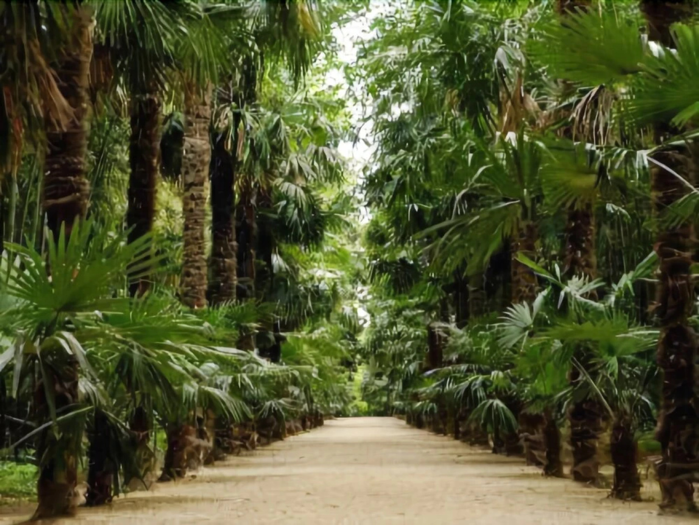 Maison atypique 11e siècle