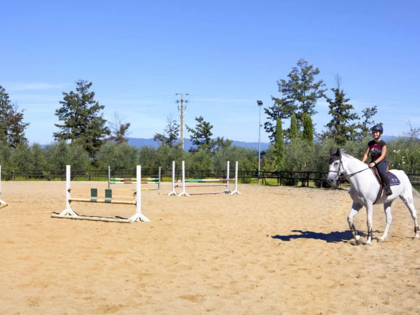 Tipologia Bilocale 15110