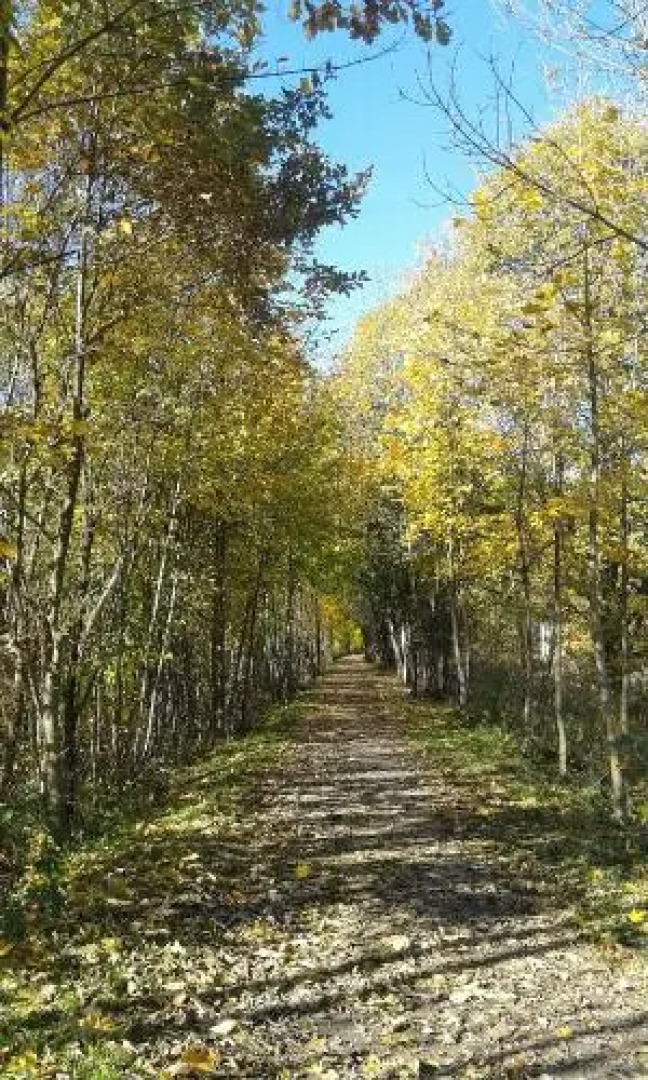 Apartamenty Pokoje Zuzanna