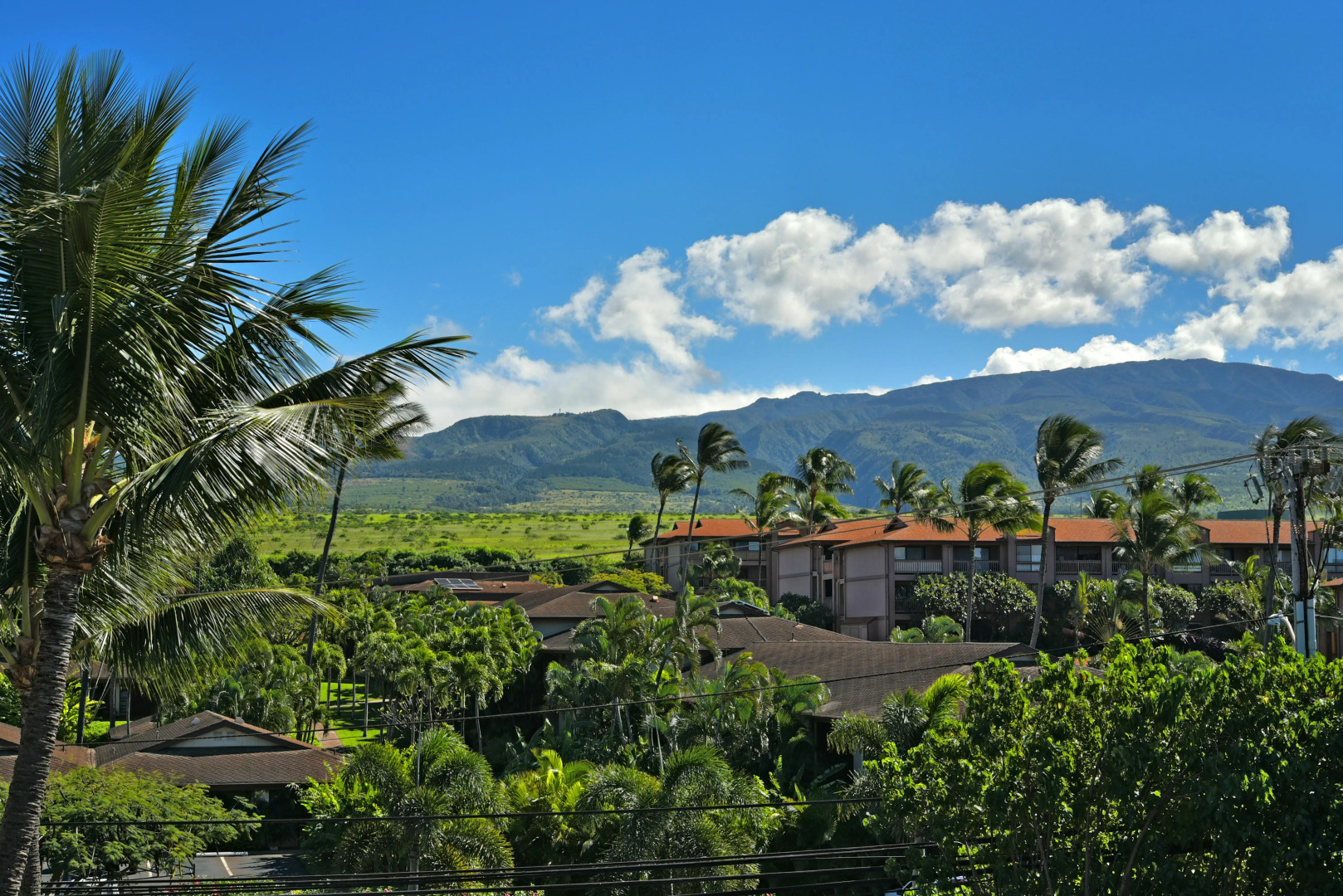 Kaleialoha 402 in Lahaina