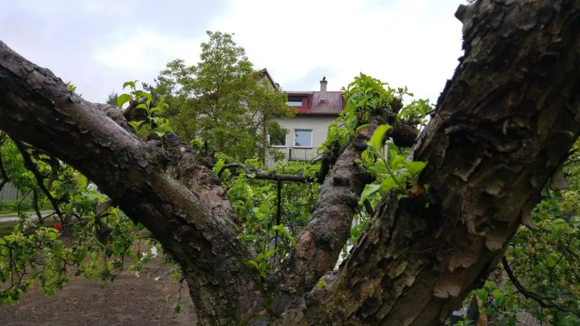 Rent0nline Brwinow Rooms