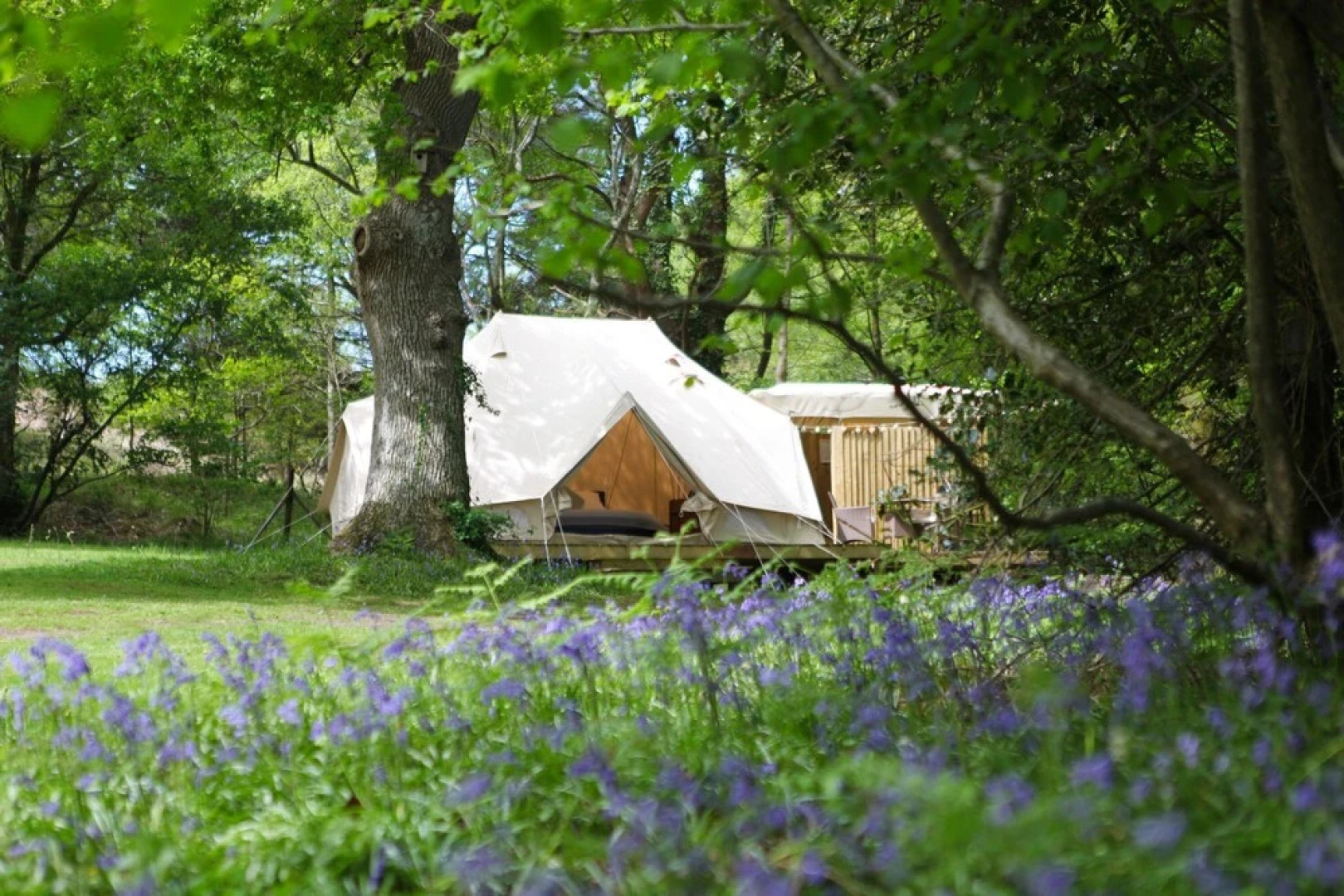 Glampotel Bere Regis