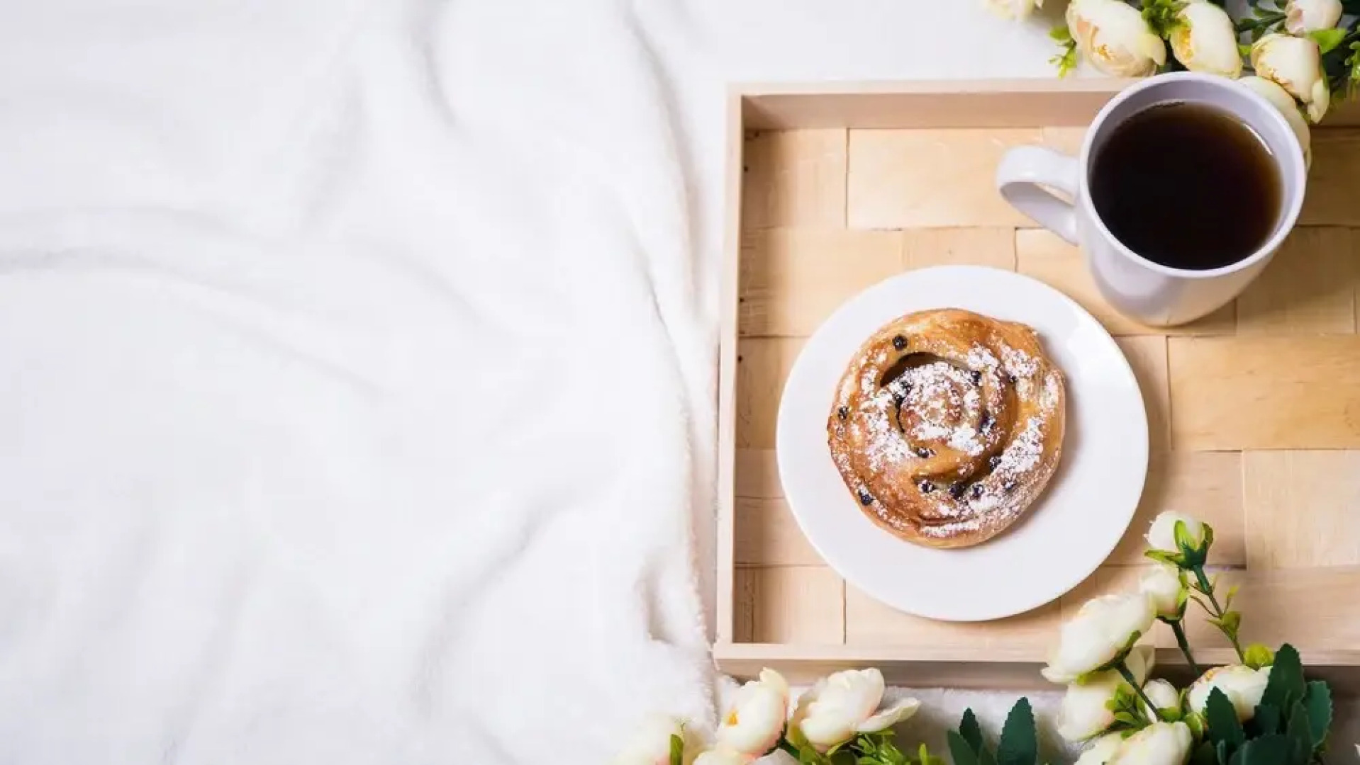 American Quality Lodge