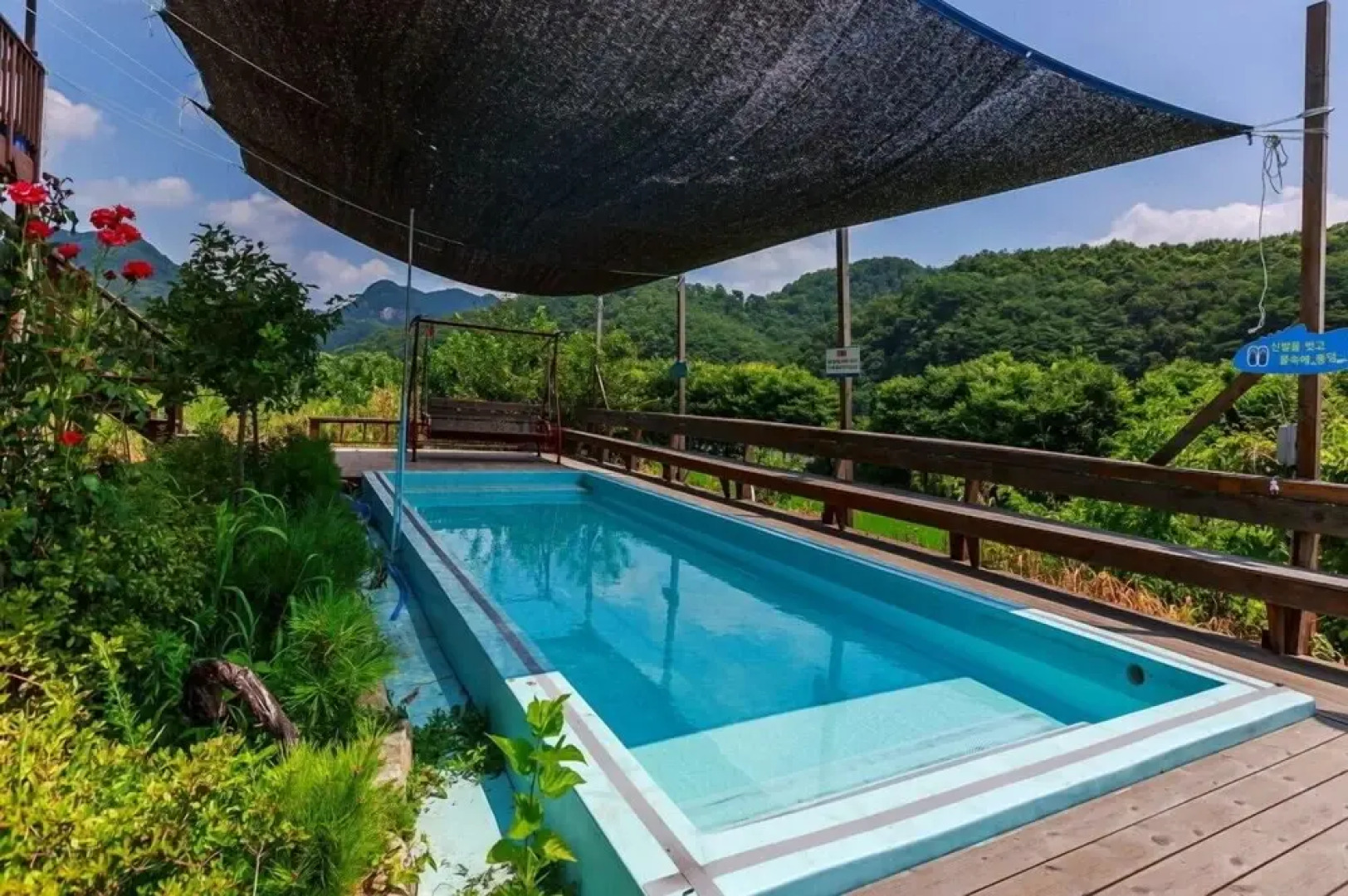 Across the Dotted Line