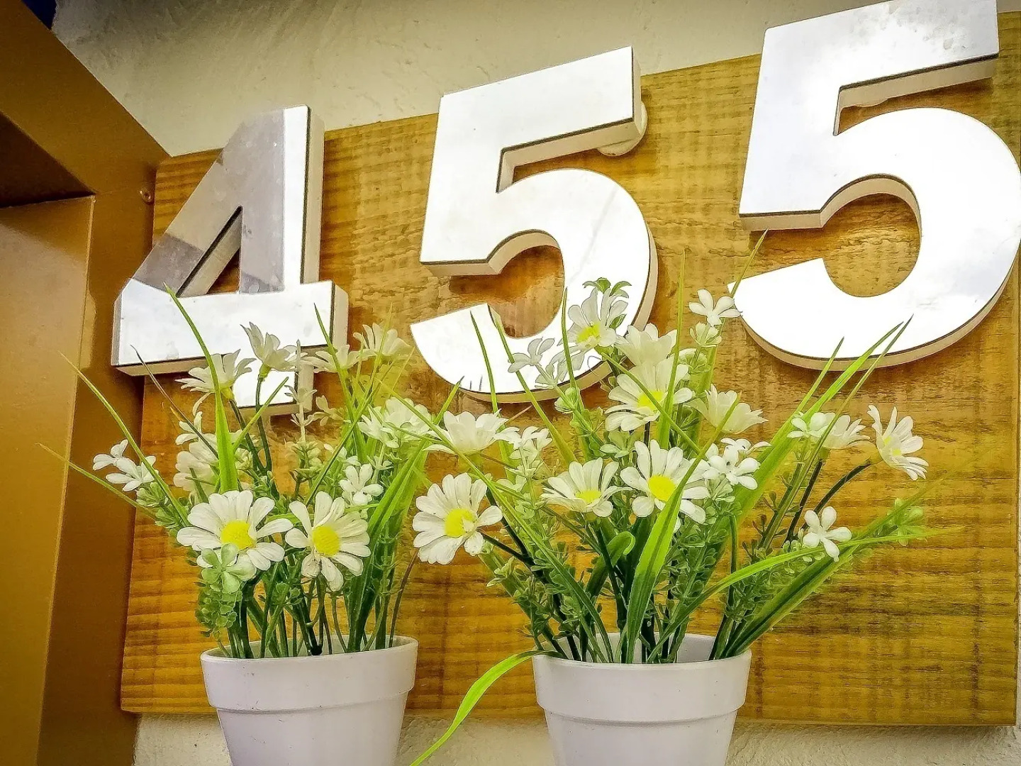 Pousada 455 - Hostel