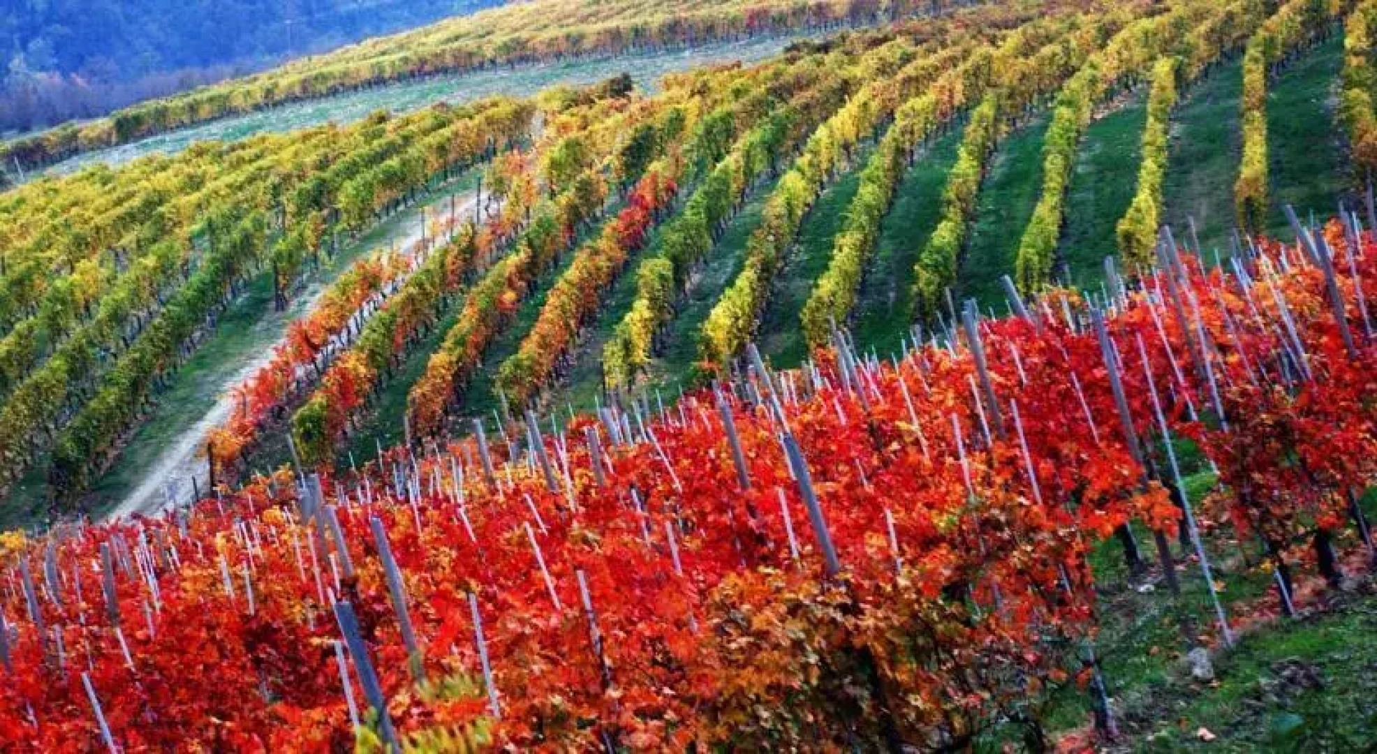 Golf Relais Monforte