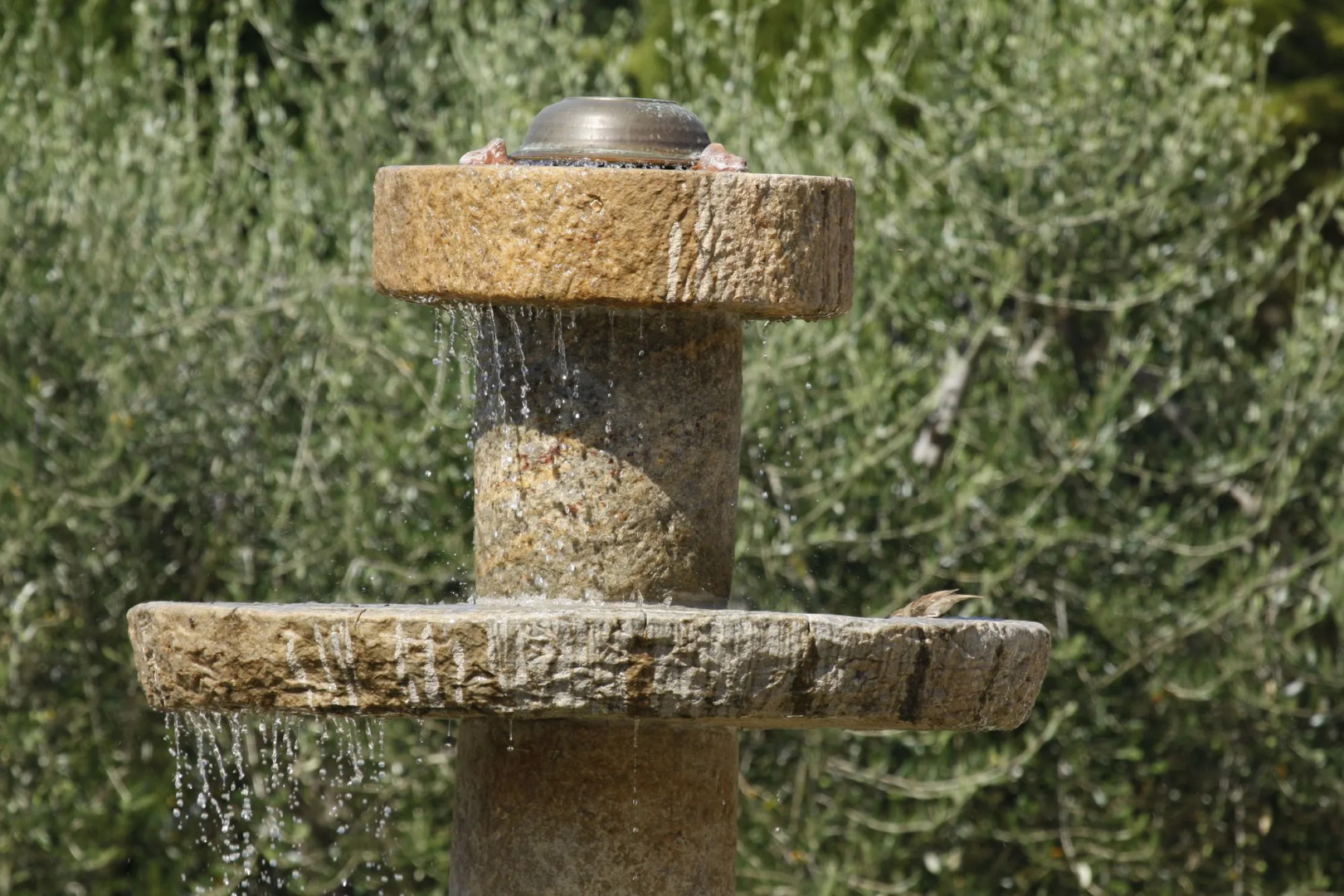 Santa Maria degli Ancillotti