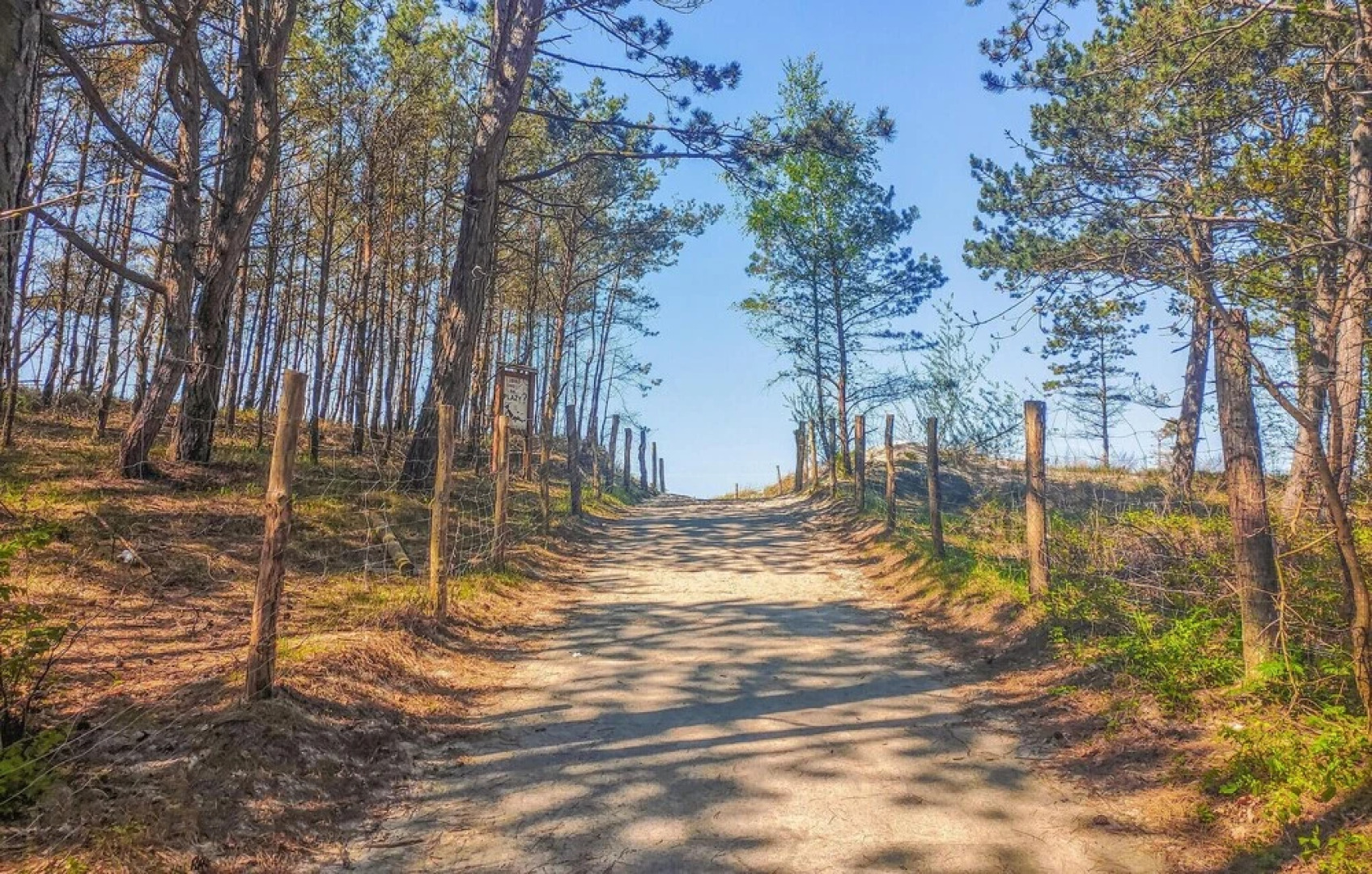 Awesome Apartment in Stegna With Wifi