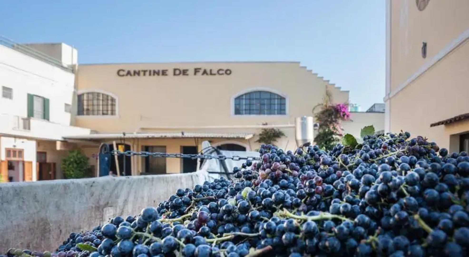 Apartment Il Giardino Divino