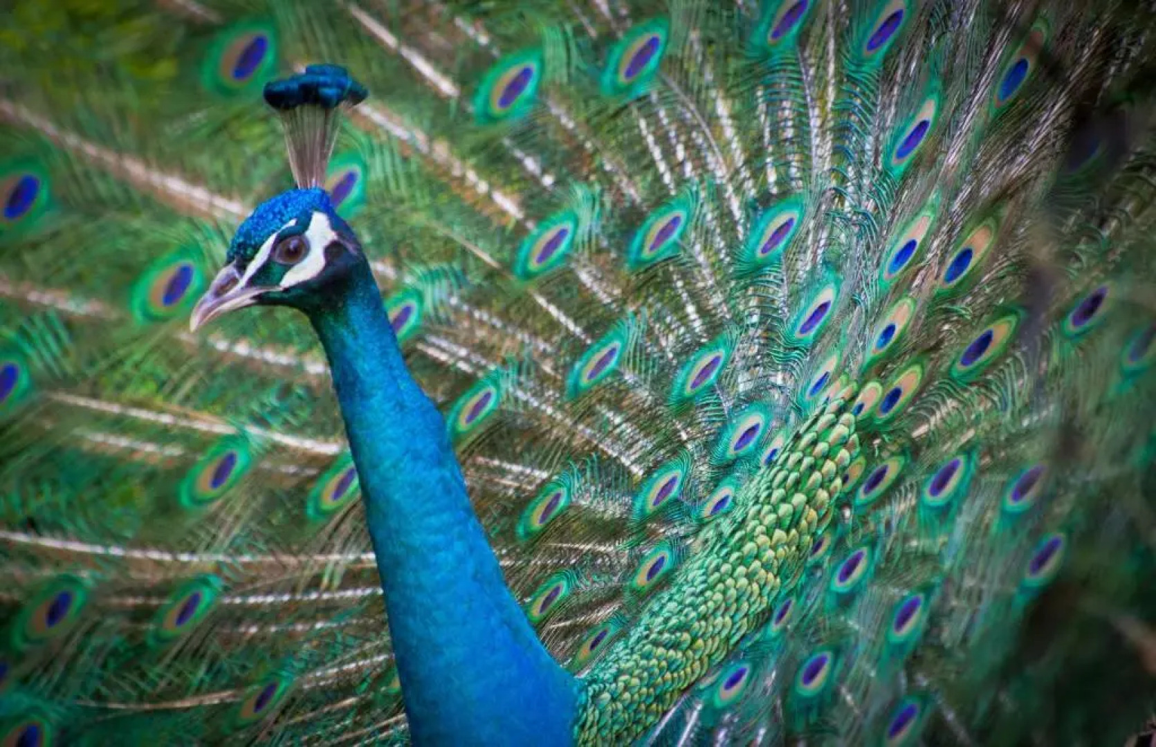 Hotel im Wald Hammerschmiede