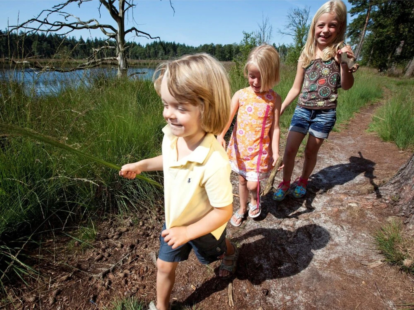 Tranquil Stay in Drenthe