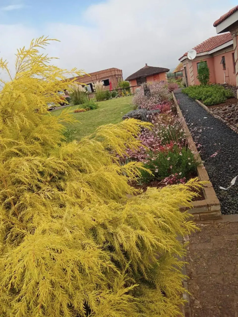 Twilight Breeze Lodge