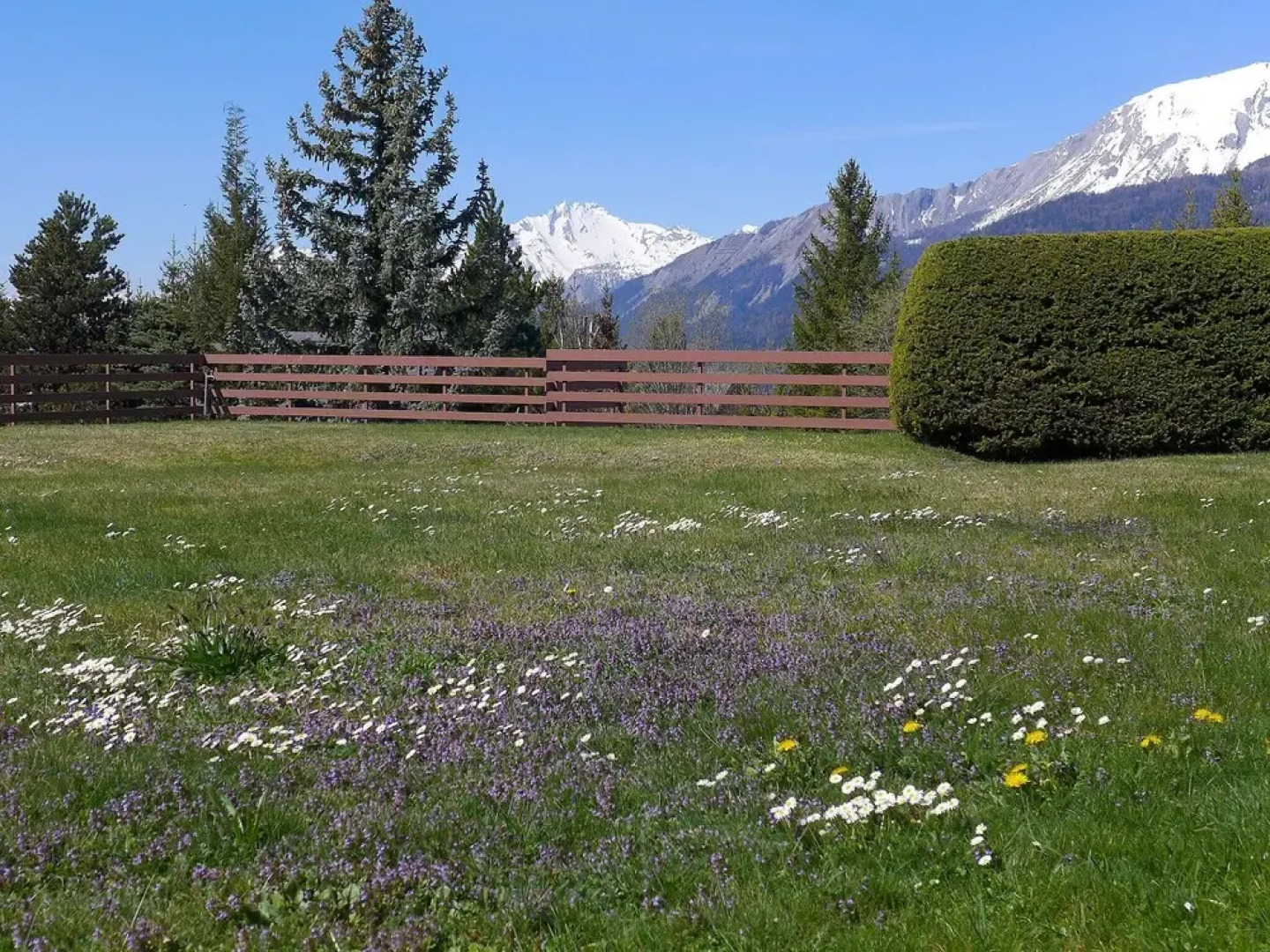 Santa Barbara Lens in Lens