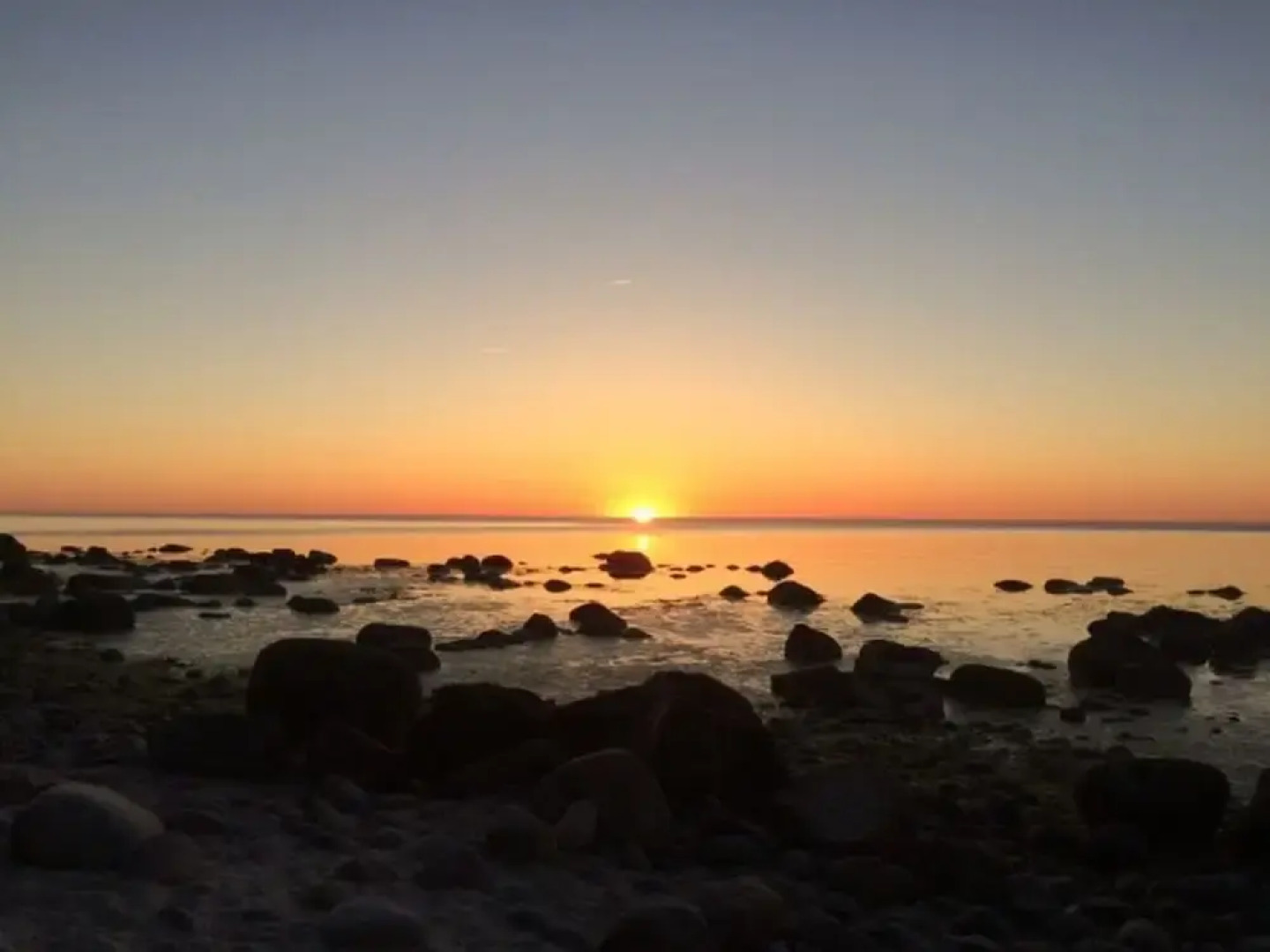 Red-throated Diver Modern Retreat