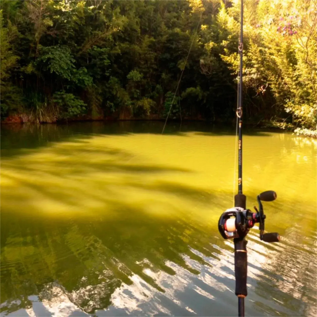 Estância São Domingos