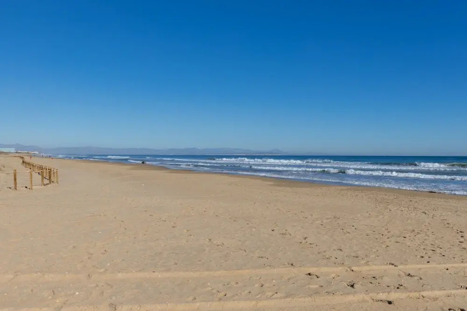 Coral Seashell Ground Floor by Fidalsa