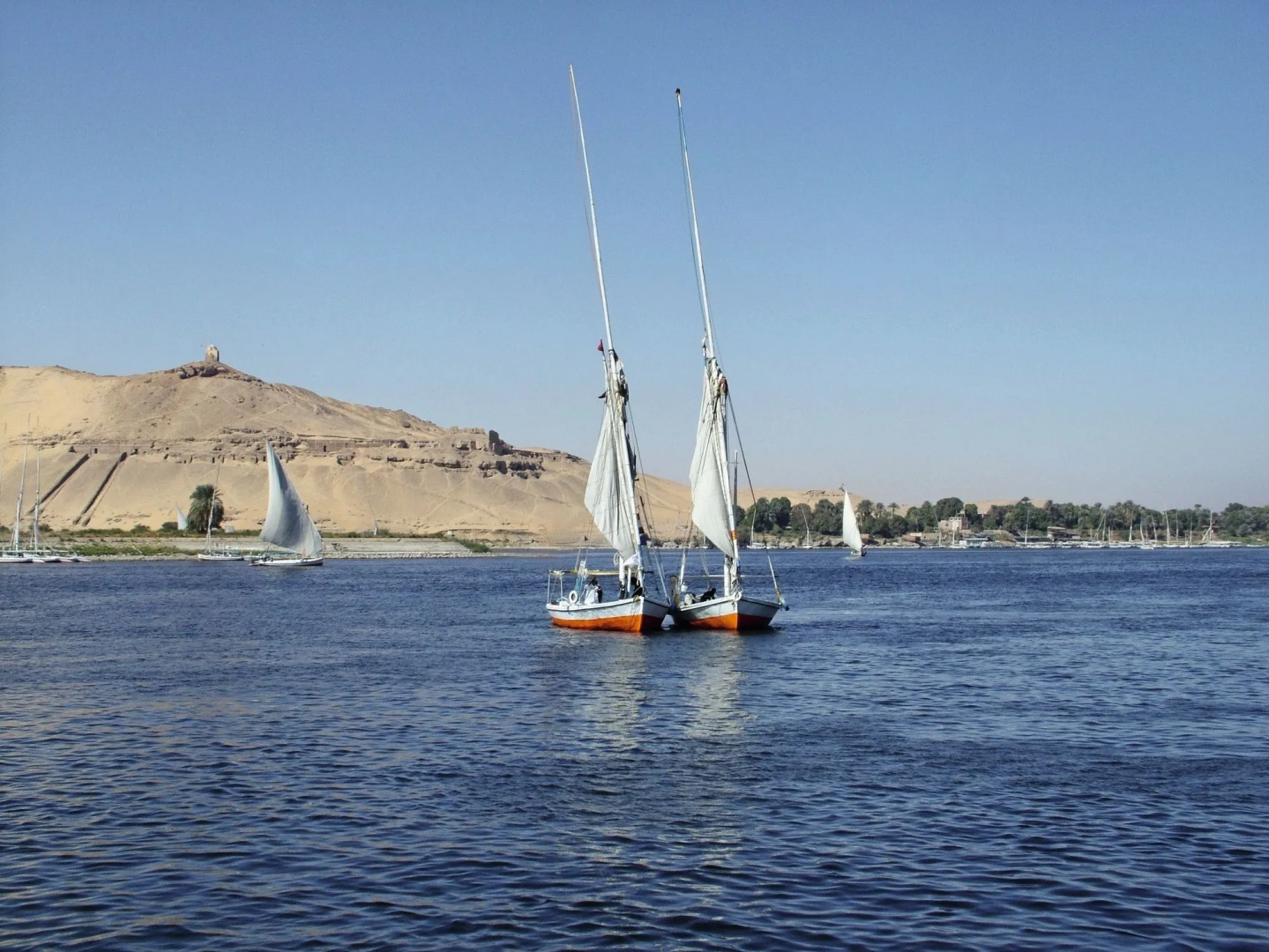 Mövenpick Resort Aswan
