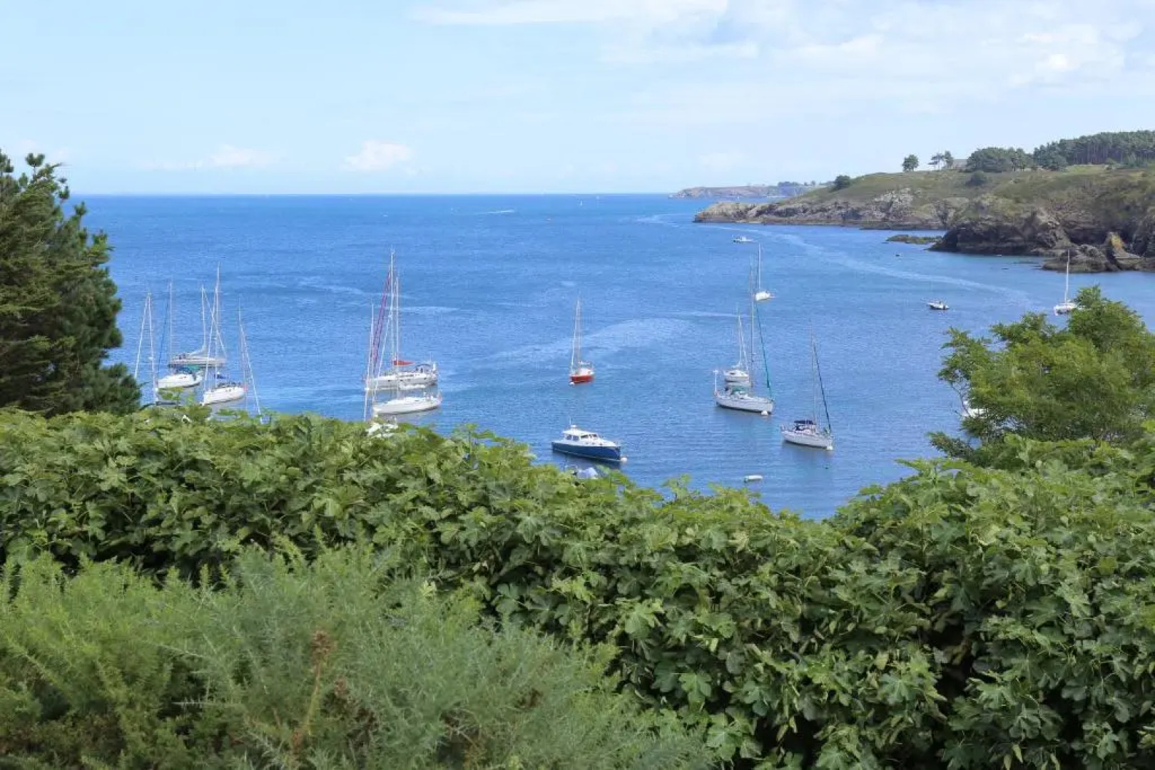 Quality Hotel Le Cardinal