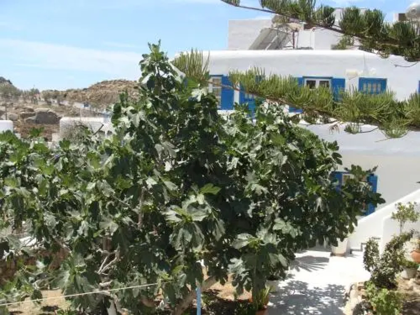 Pension Marina