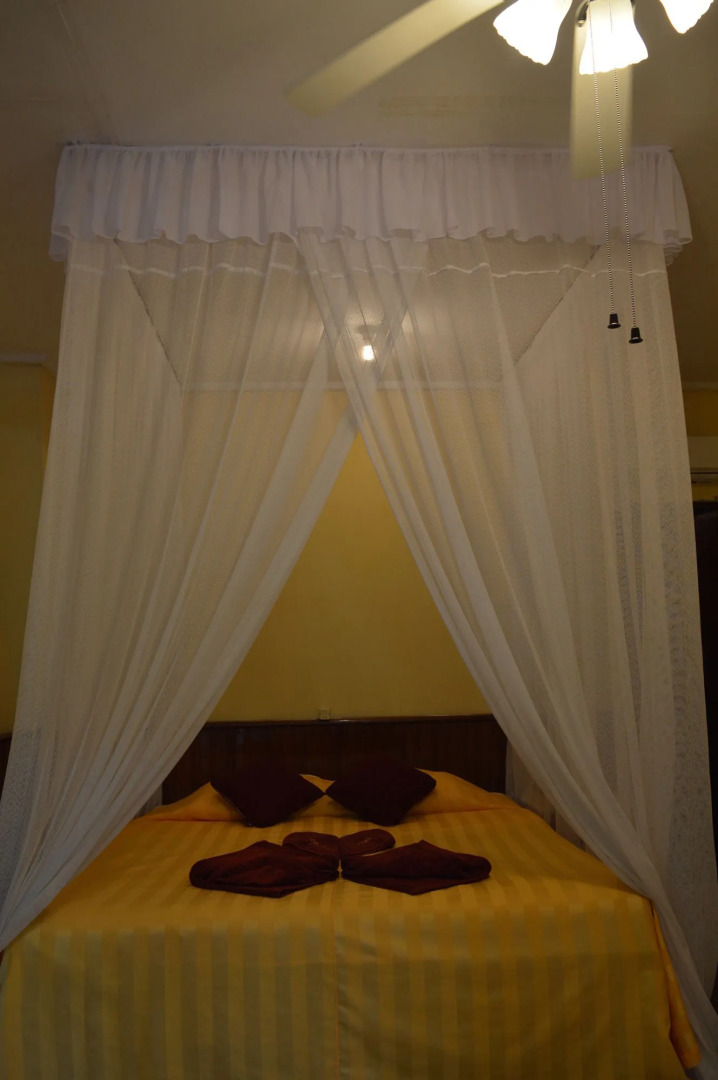 Rimba Orangutan Eco Lodge