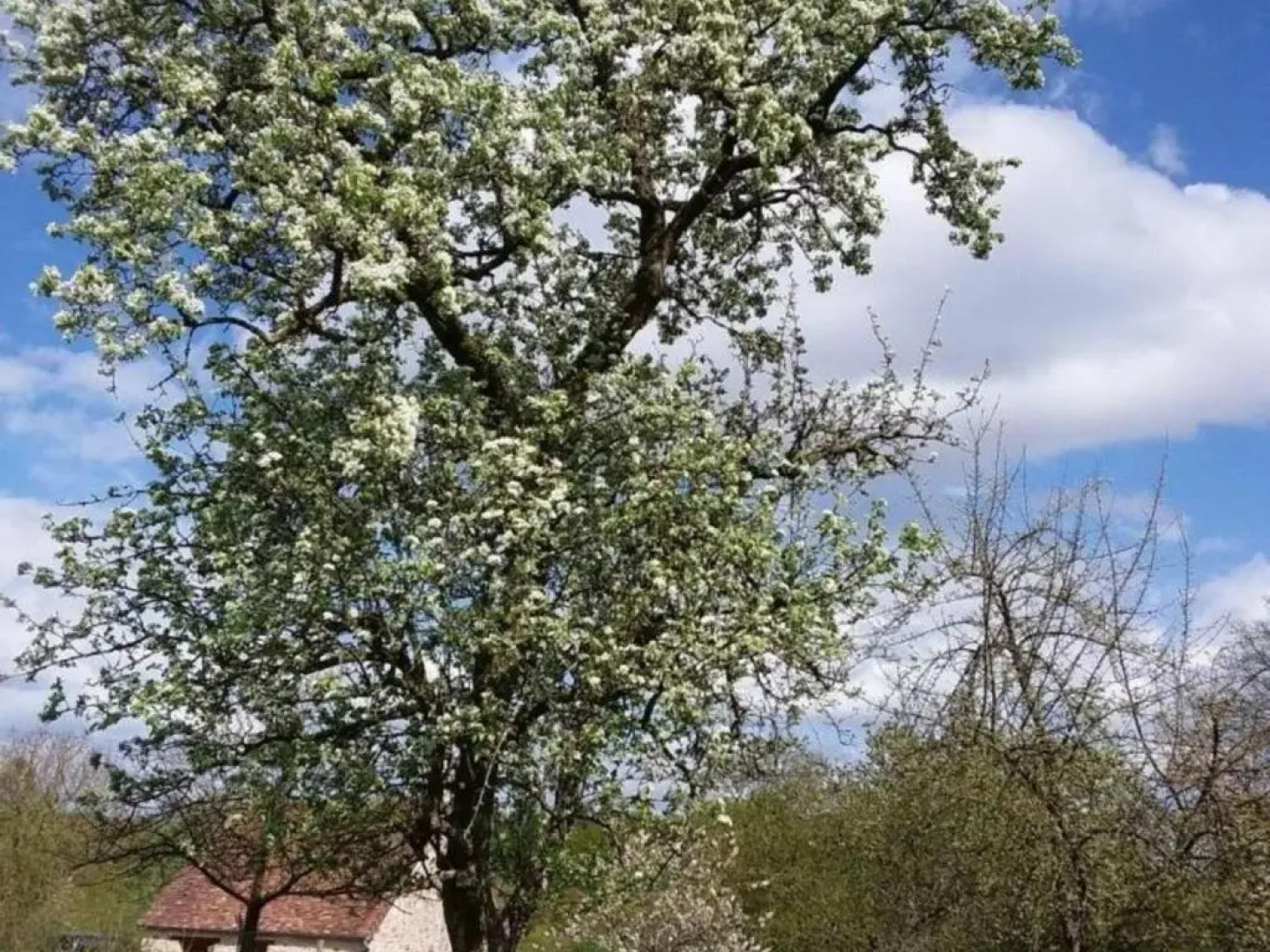 Gîte Champsecret, 2 pièces, 3 personnes - FR-1-497-15