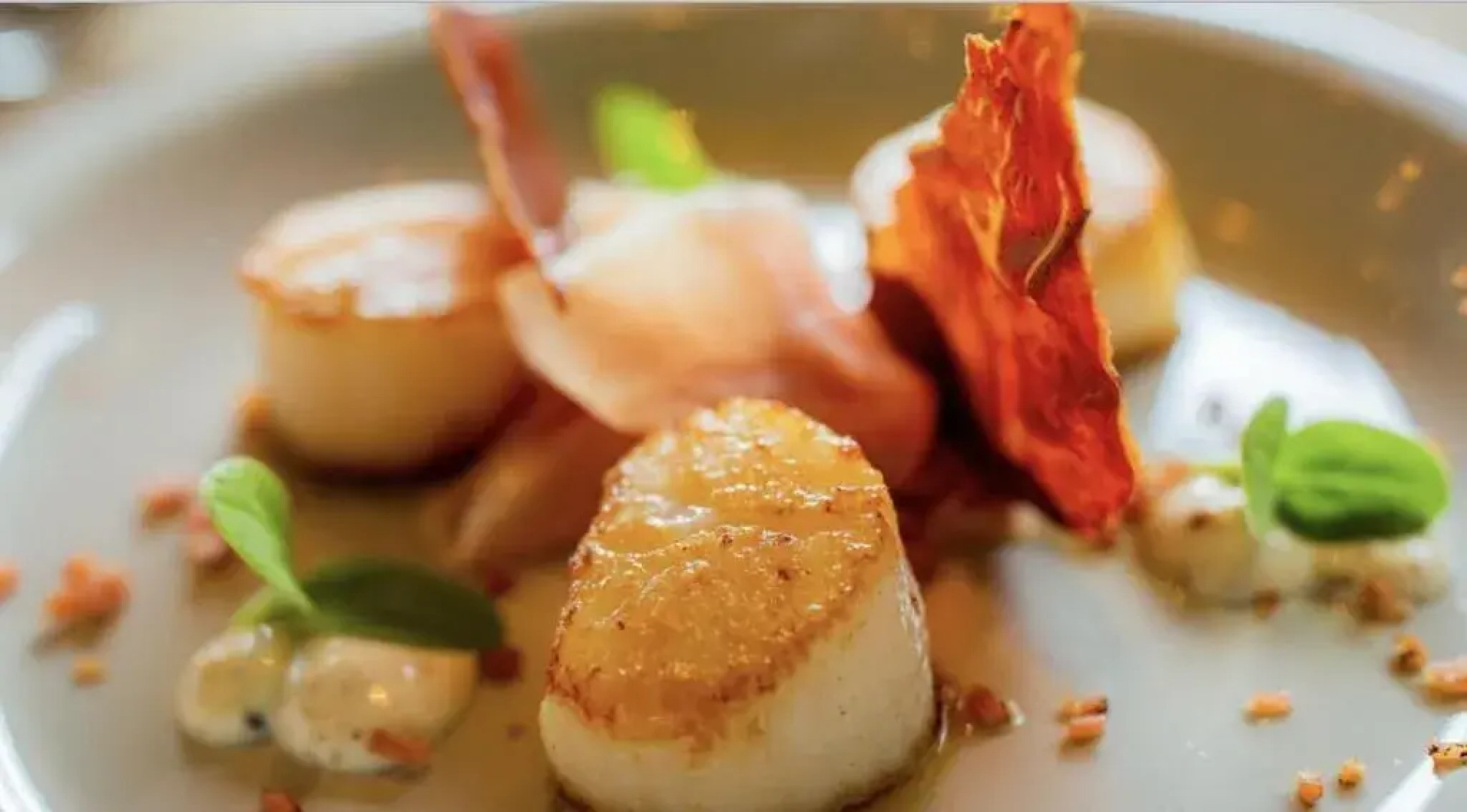 Hotel Steeds aan Zee