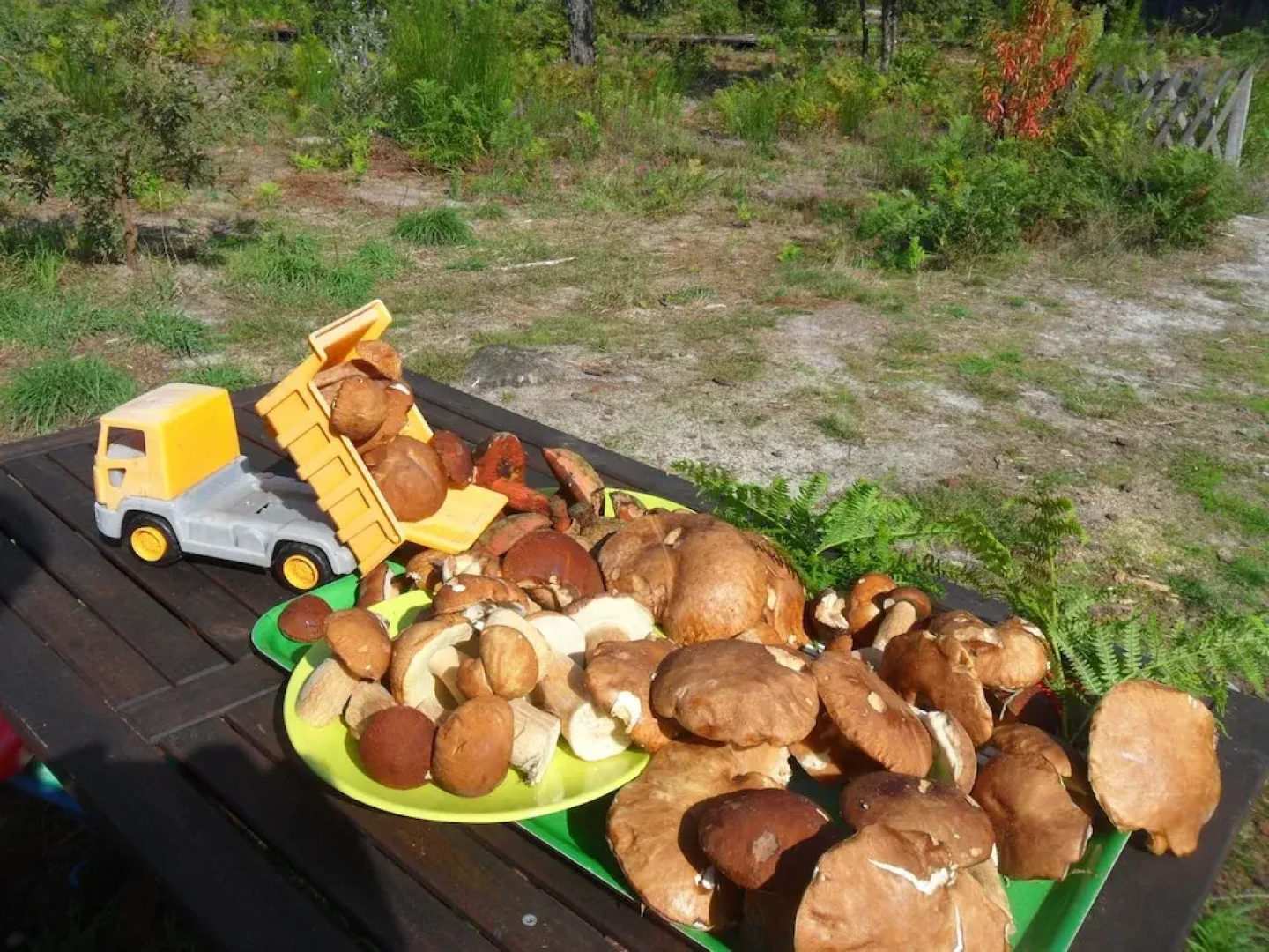 Cap'Cabane