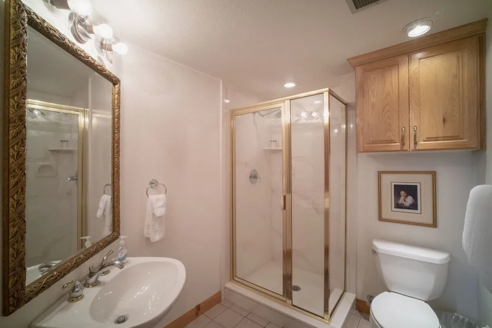 3 Bedroom 3 Bathroom Chalet 719