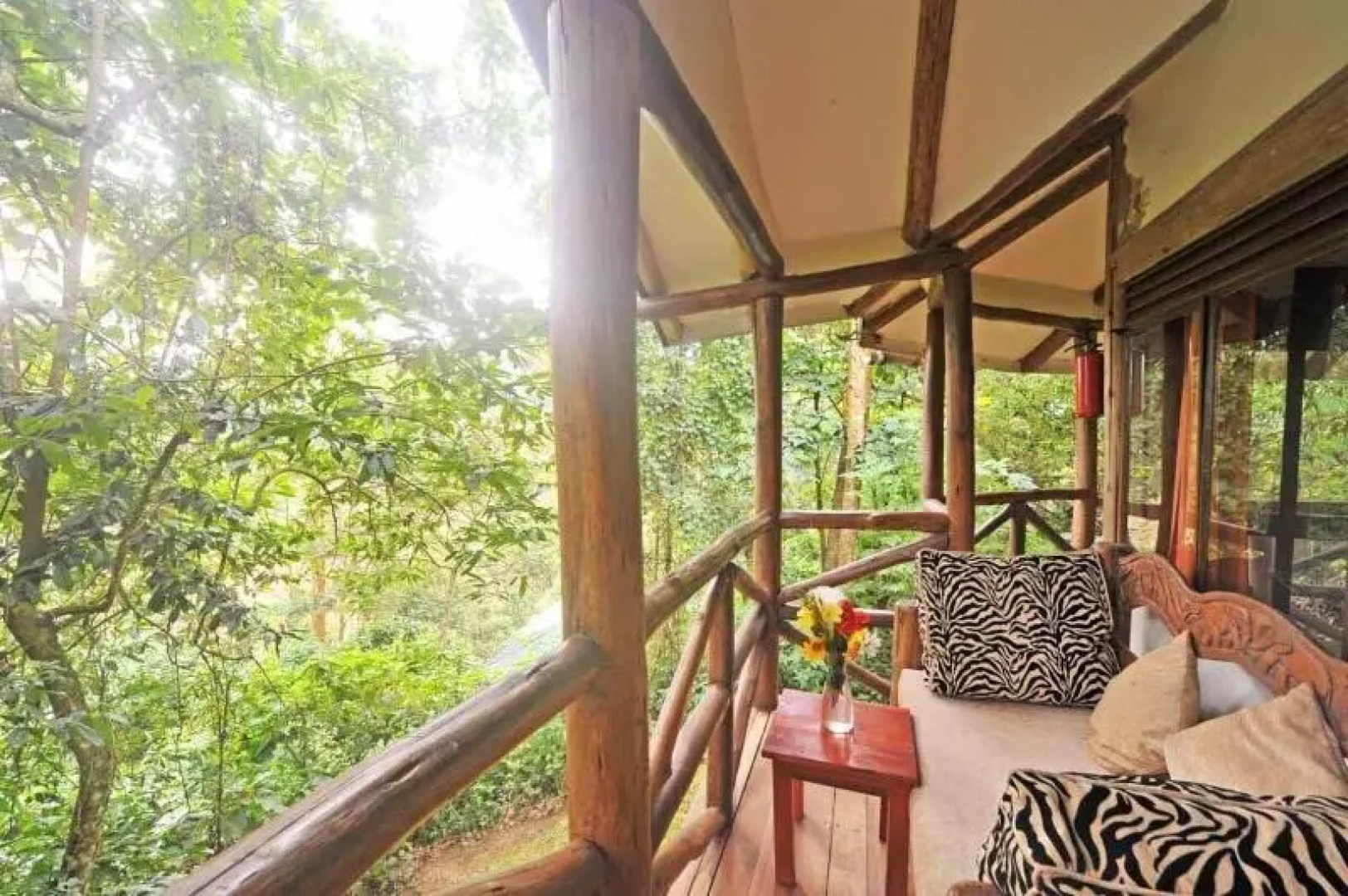 Gorilla Safari Lodge