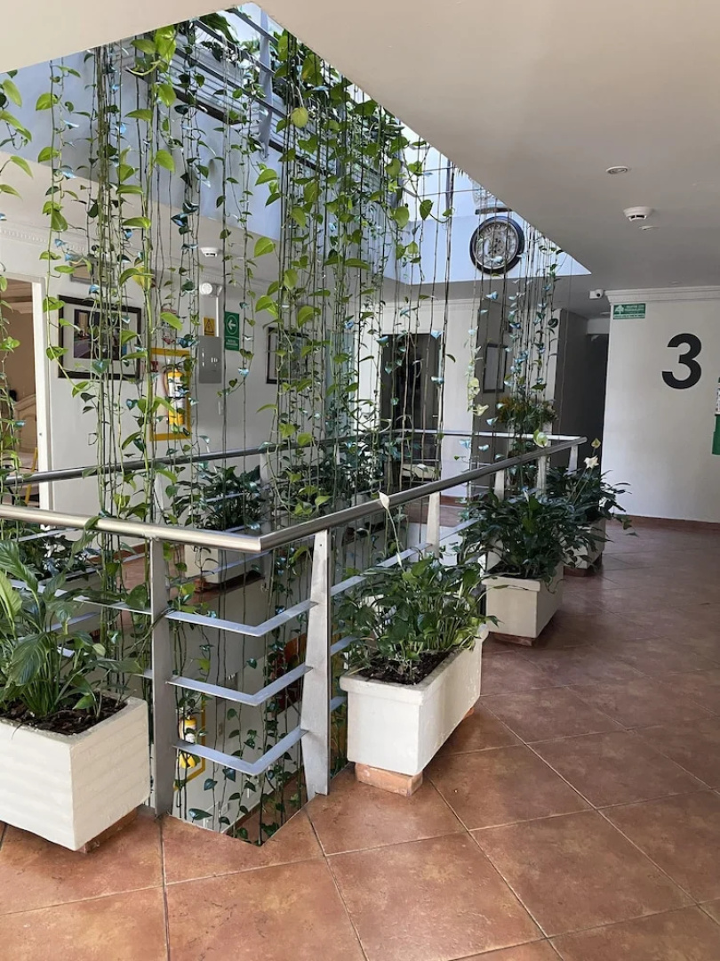Hotel Picasso Inn