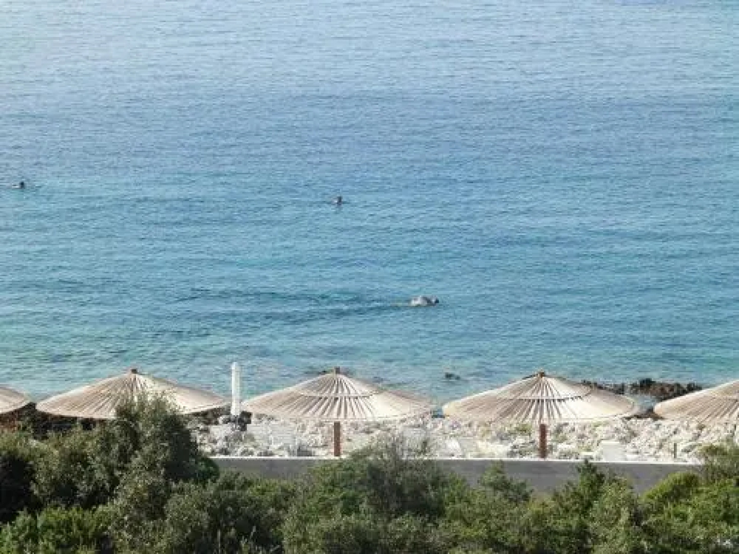 Apartments Villa Rosina